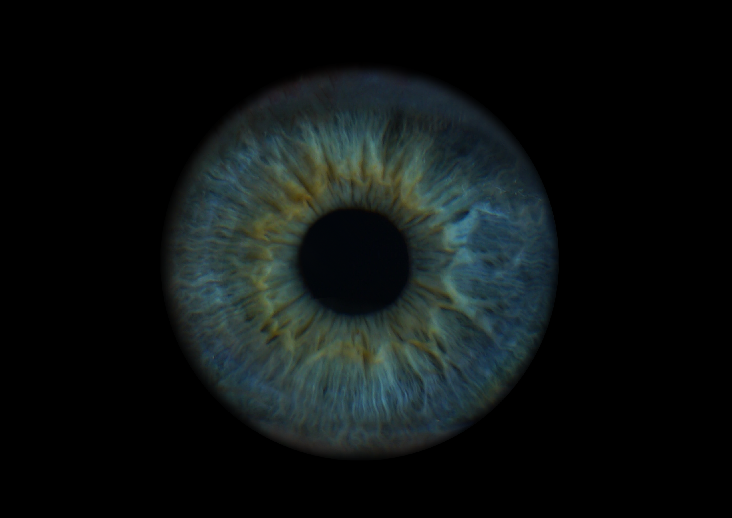 Наталья 11021630. ShowLab