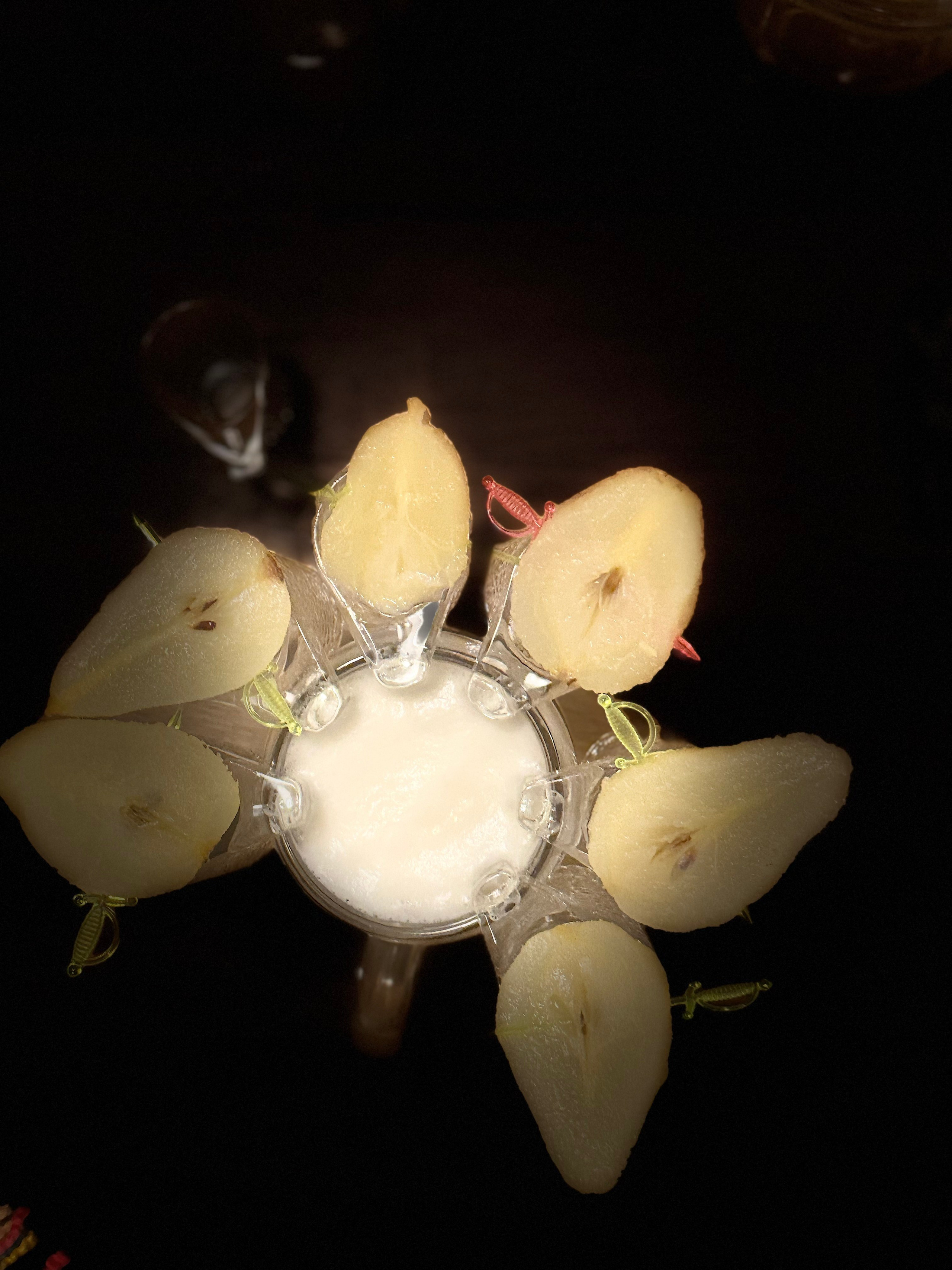 Nicole. Коммерческий фотограф Москва /Дубай, эксклюзивные фэшн фотосессии