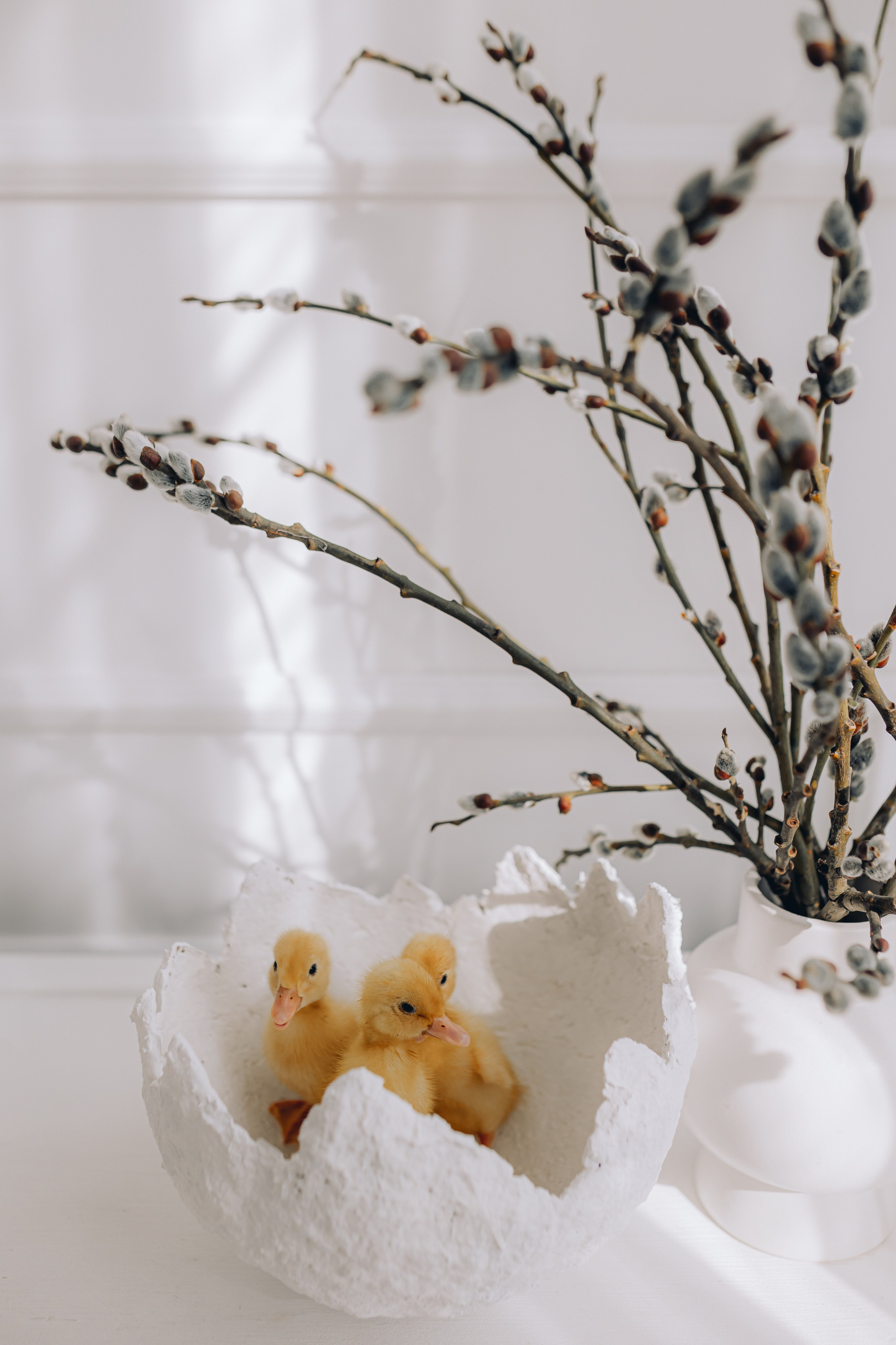 ETO Studio — фотостудия в Минске. Понравилась студия? Напишите — организую съёмку именно здесь. Фотограф в Минске Людмила Дутко