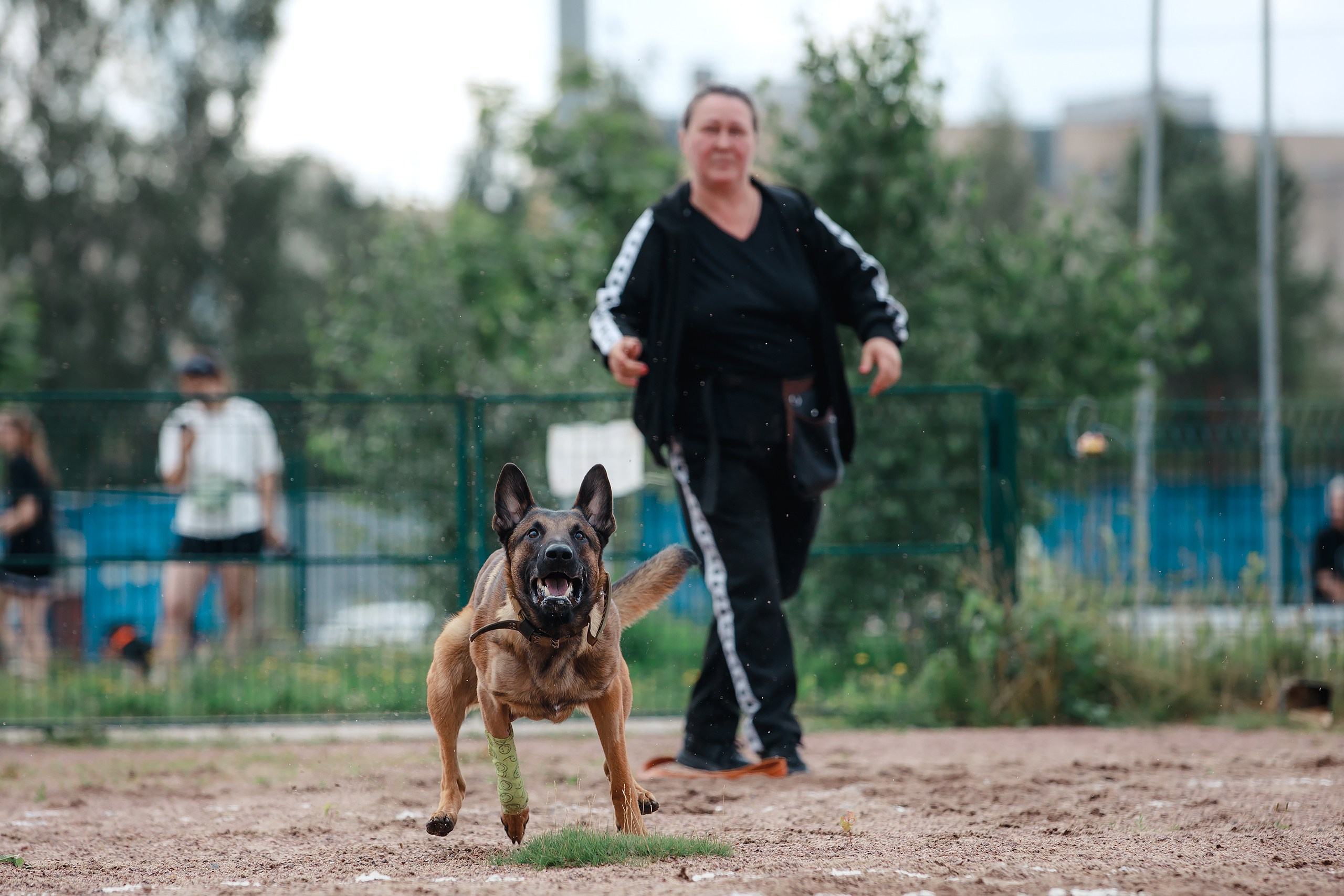 Питч&Гоу + веселые старты. Фотограф-анималист Mary Mart — Москва, Питер