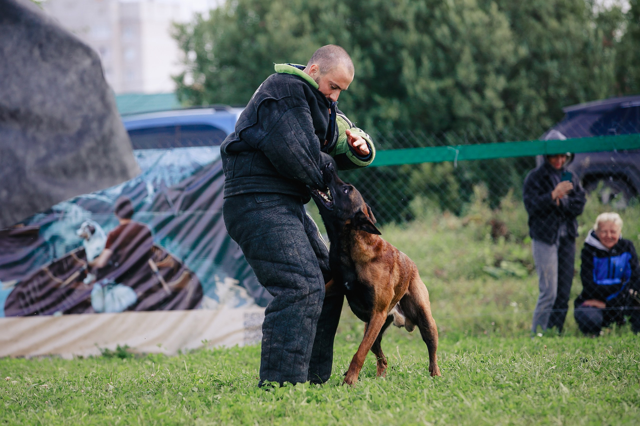 Мондьоринг М1, М2, М3, Вологда. Фотограф-анималист Mary Mart — Москва, Питер