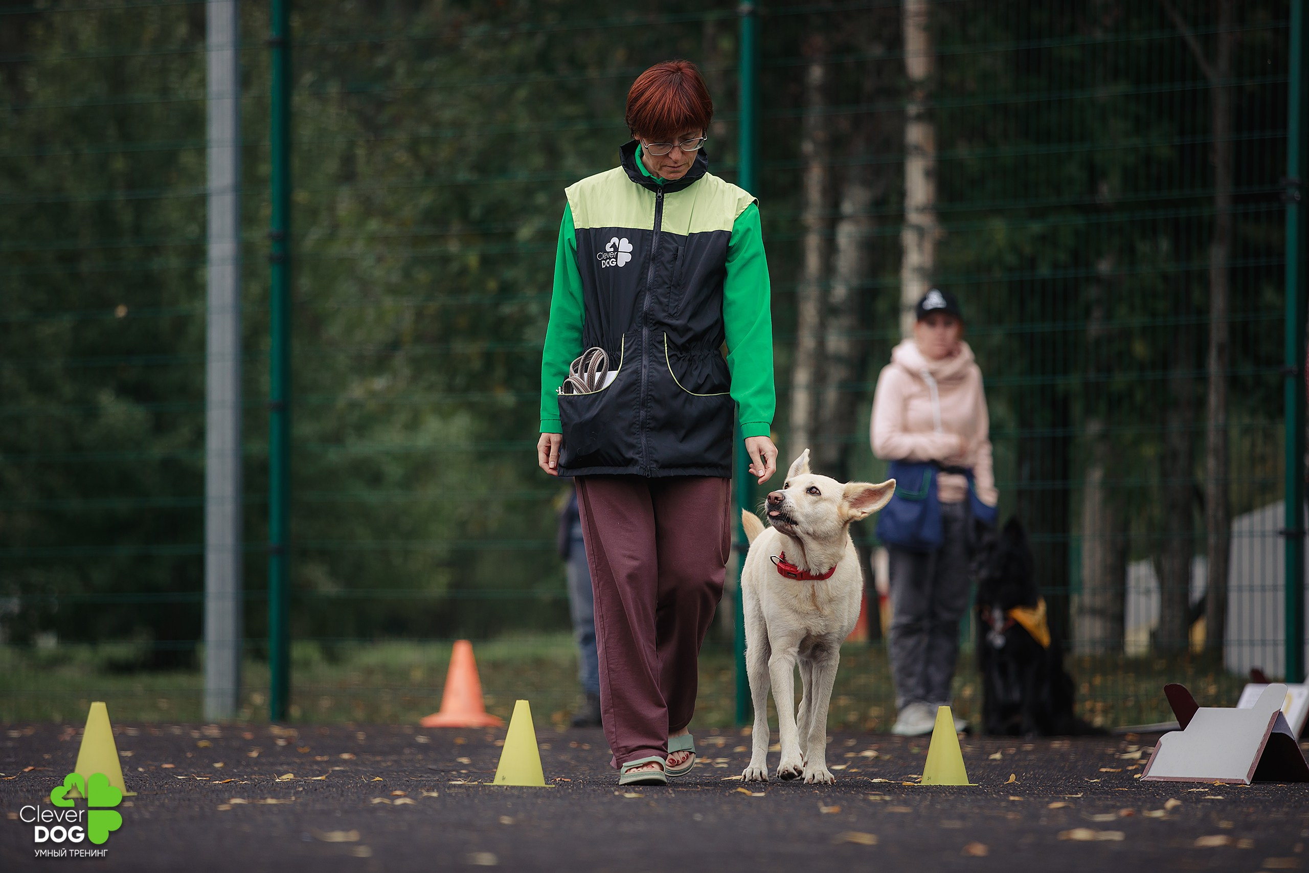 Кинологический лагерь CleverDog, 2024. Фотограф-анималист Mary Mart — Москва, Питер
