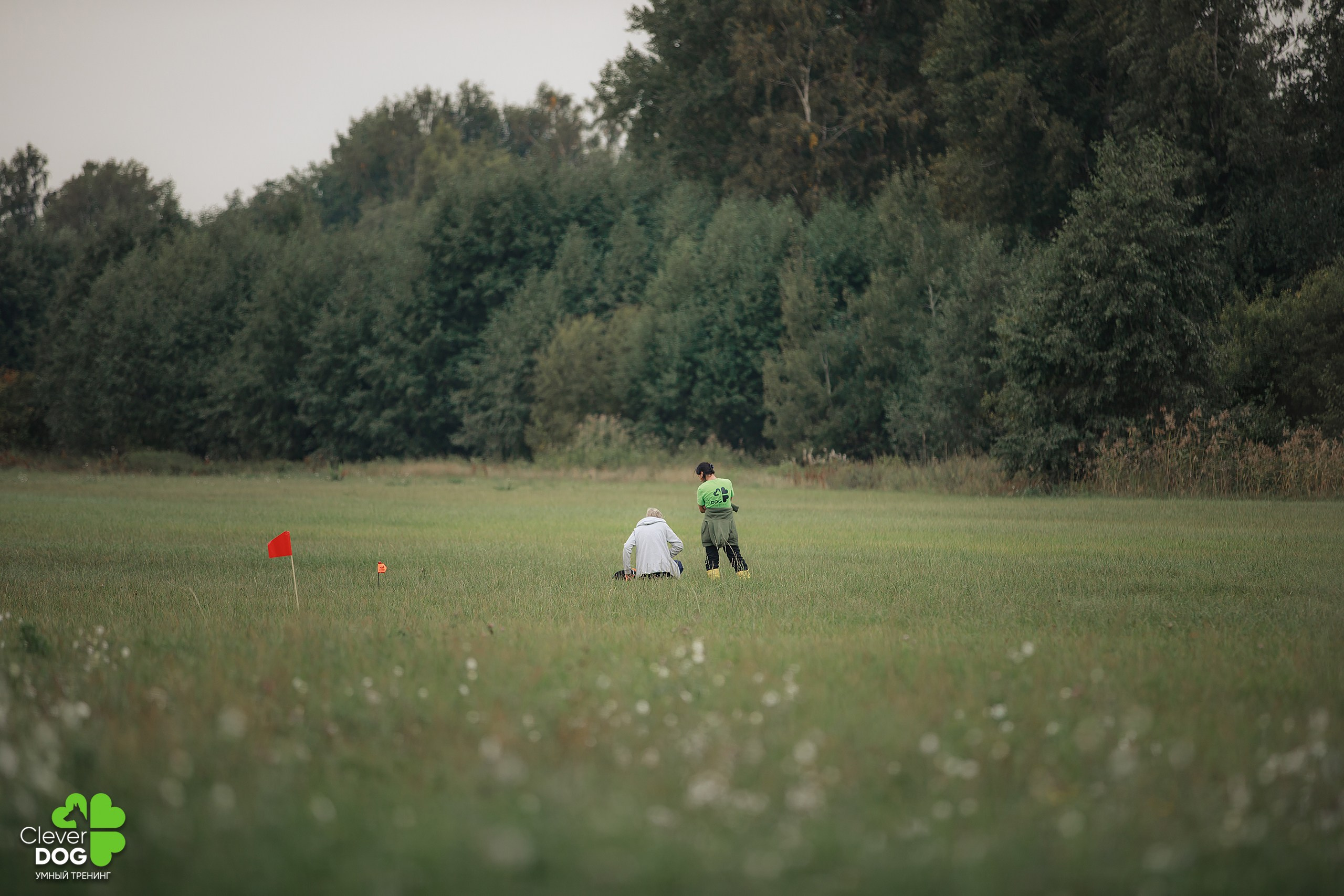 Кинологический лагерь CleverDog, 2024. Фотограф-анималист Mary Mart — Москва, Питер