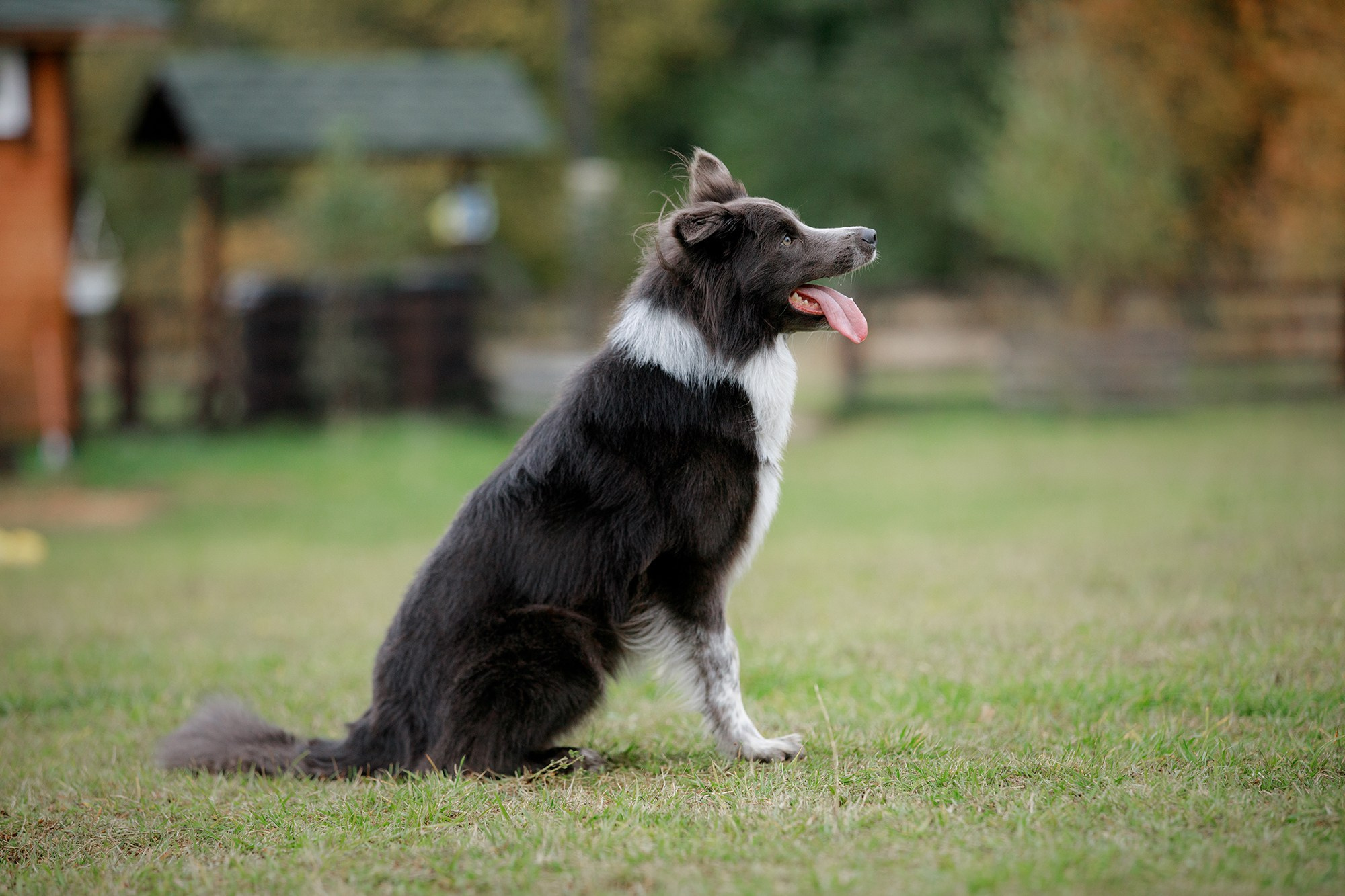 Лагерь по ОБД с Инной Баженовой. Фотограф-анималист Mary Mart — Москва, Питер