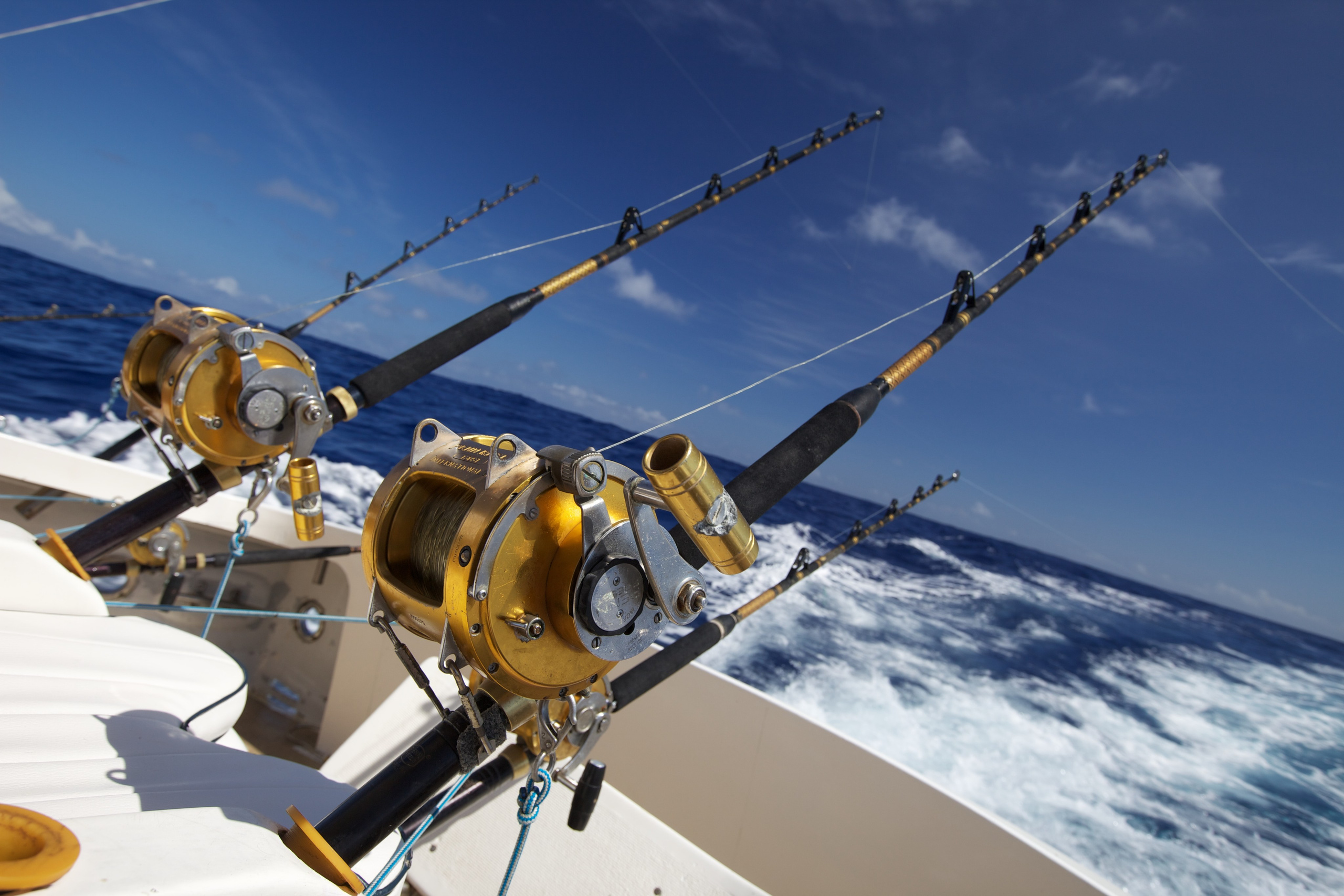 Путешествия и архитектура. Алекс Ком. Автомобильный фотограф и детский писатель из Москвы