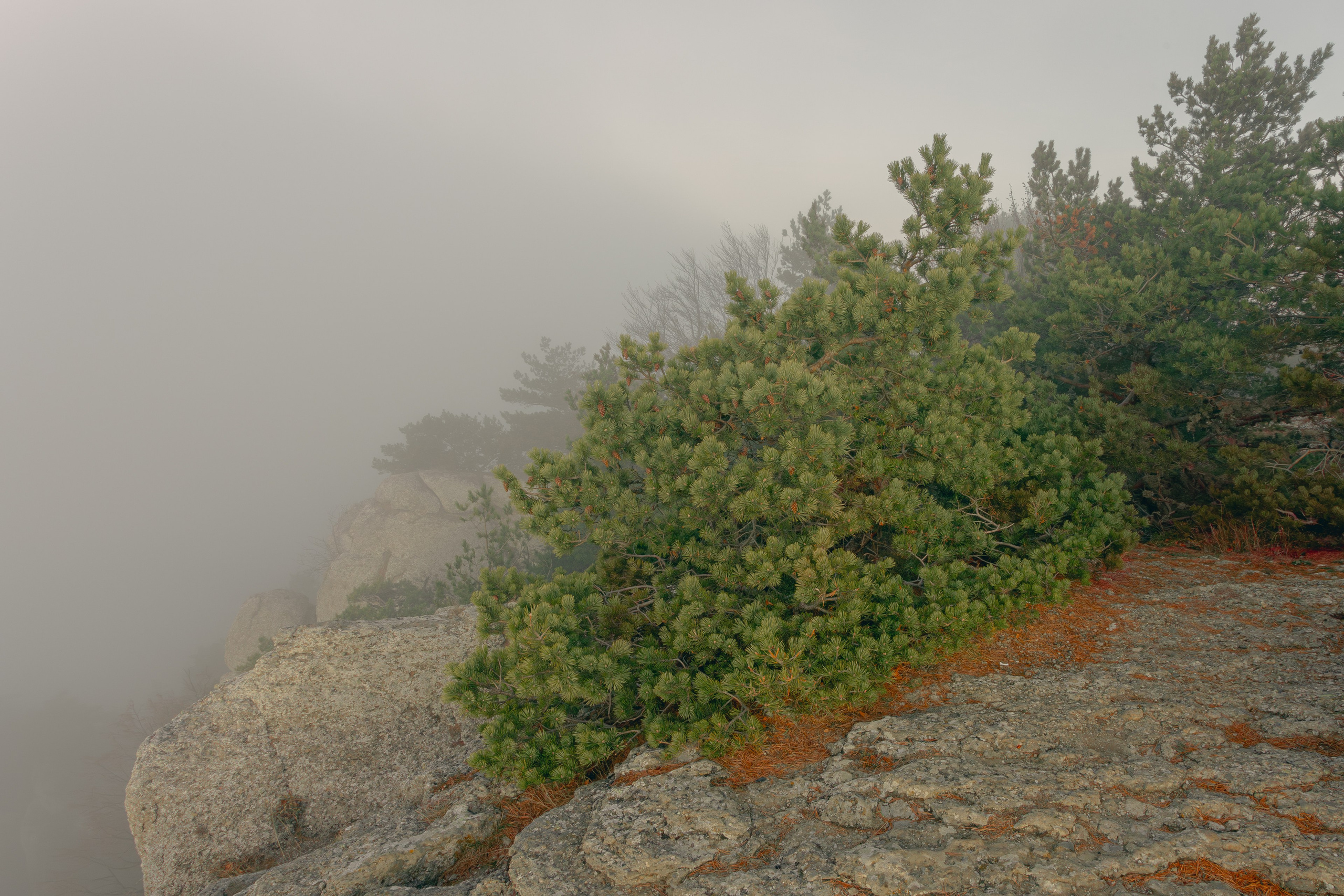 Пейзажная фотография. Фотошкола ArtFotoLife для начинающих и продвинутых фотографов