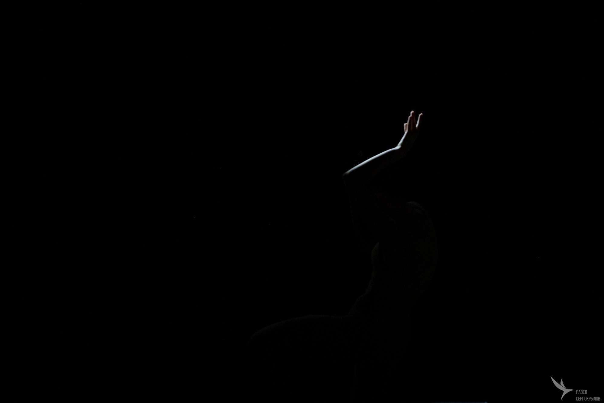 Сольный концерт хореографического ансамбля Аллегро «Сквозь тернии к звездам». Репортажный фотограф в Казани Павел Серпокрылов