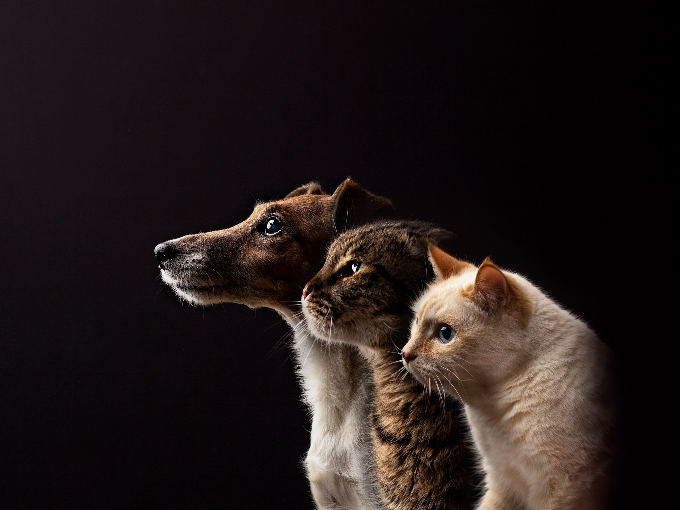 Портрет «Поколение». Фотограф новорожденных в Пятигорске Валерия Новкунская