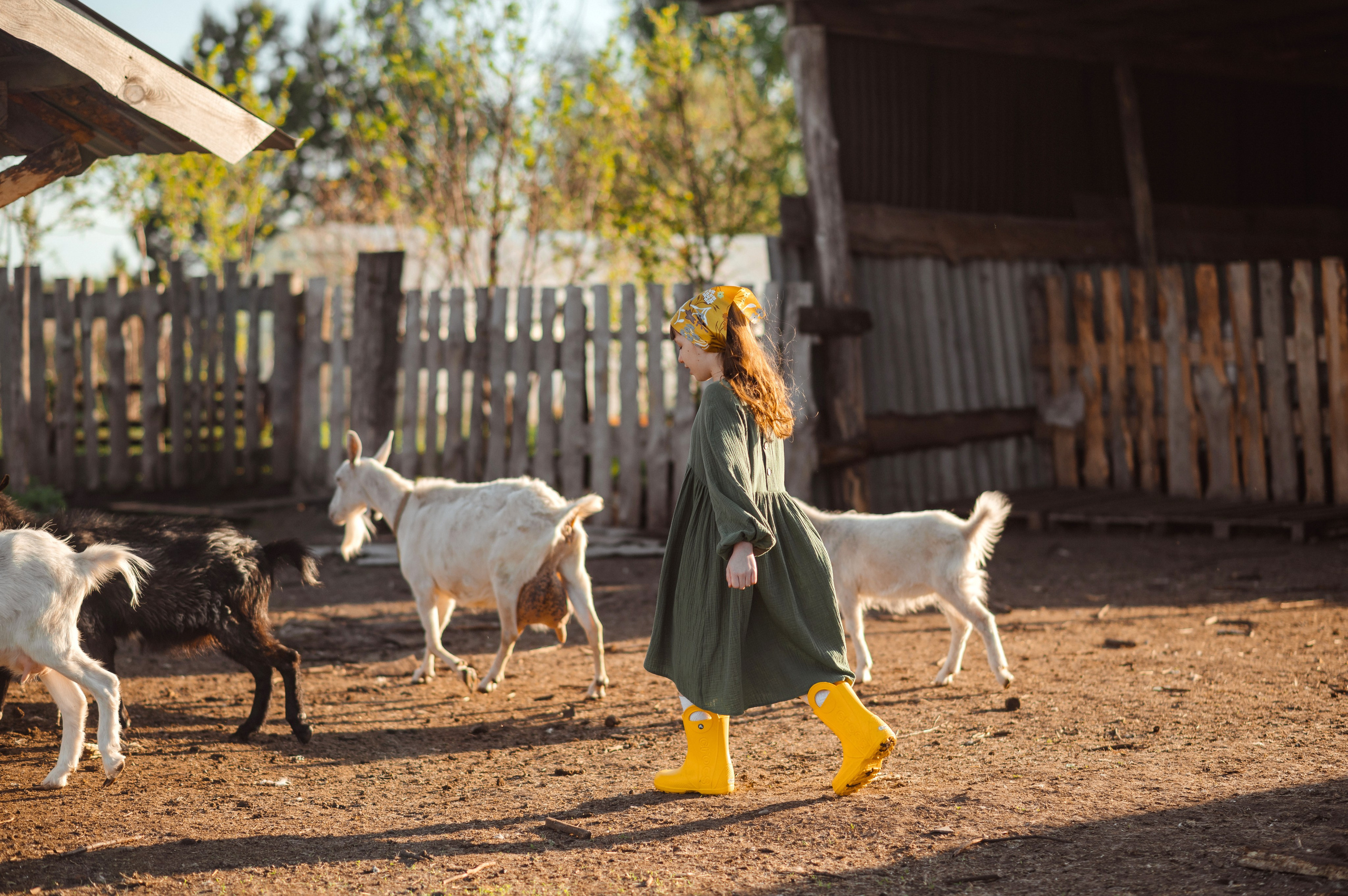 О любви к животным. Свадебный и семейный Фотограф в Пензе Татьяна Лапоногова