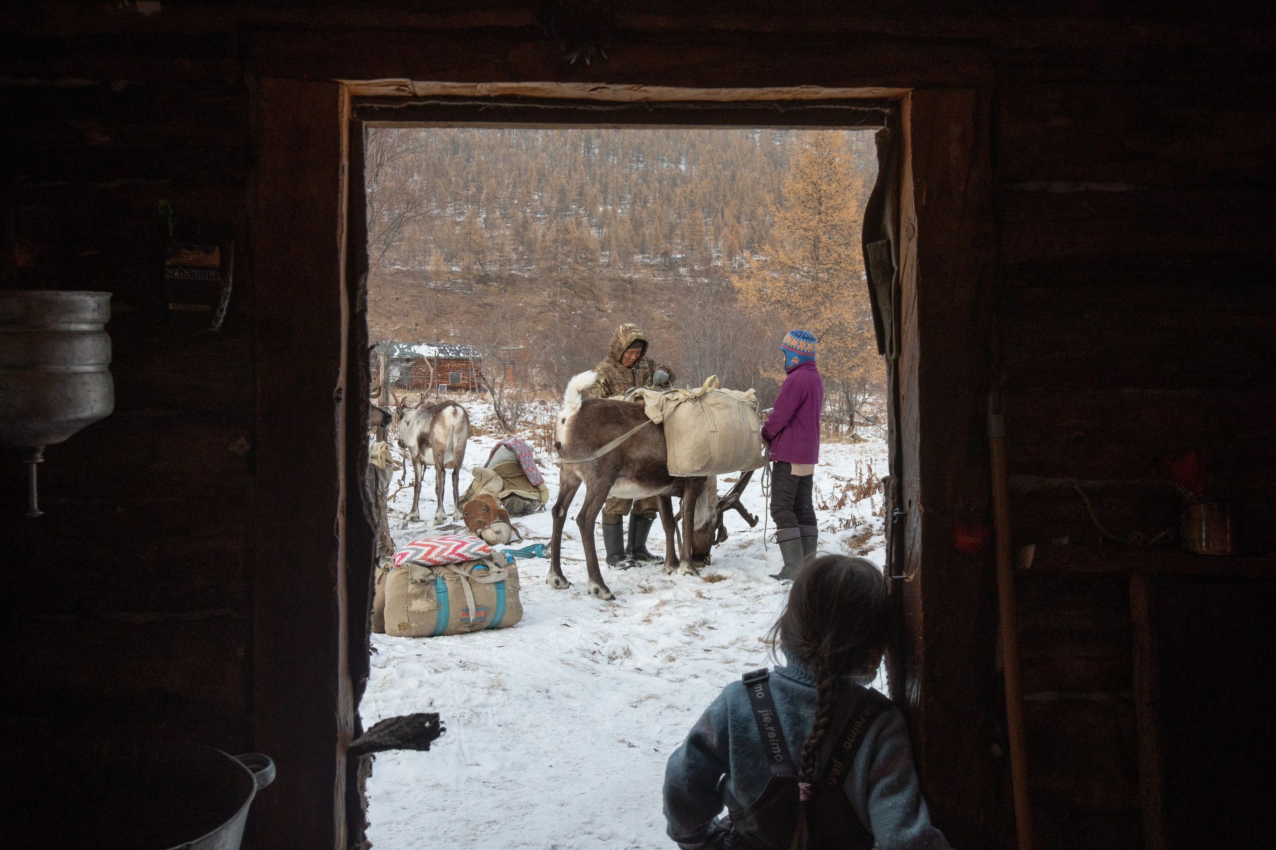 Не забудь накормить озеро. Natalya Madilyan