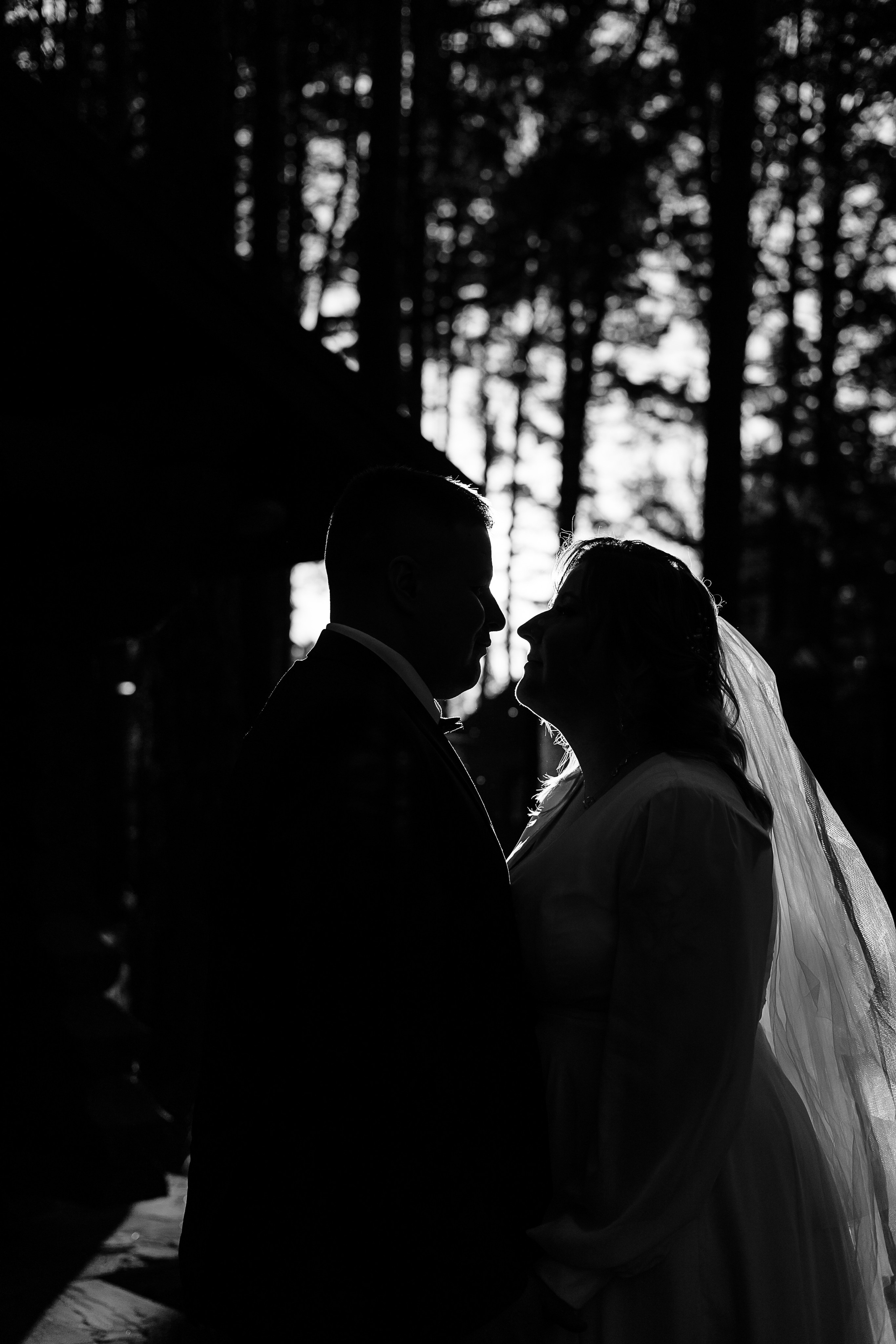 Свадьба Марины и Андрея. Свадебный и семейный фотограф в Твери и Тверской области