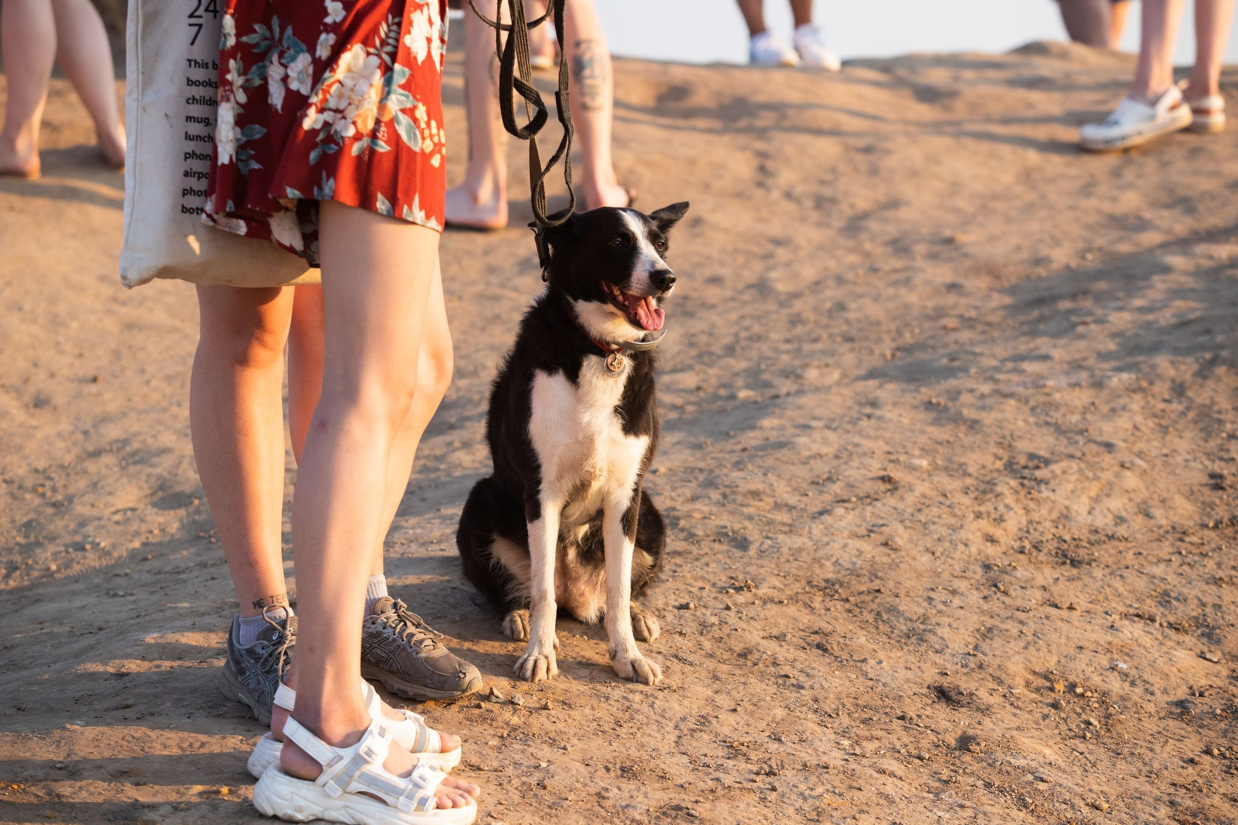 Кондуки (10 июля 2021). Репортажный фотограф Алексей Пирязев