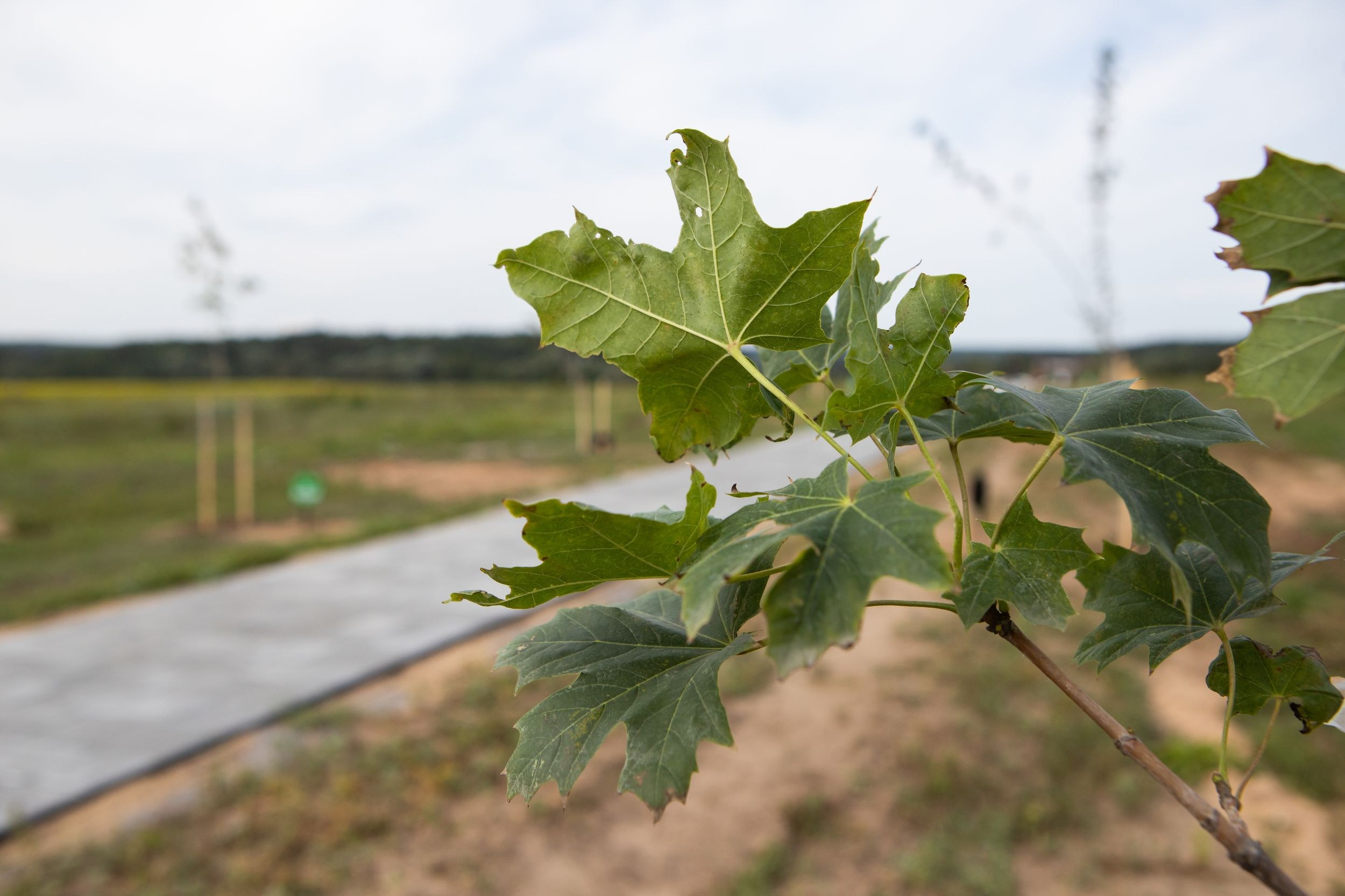 2021. Репортажный фотограф Алексей Пирязев