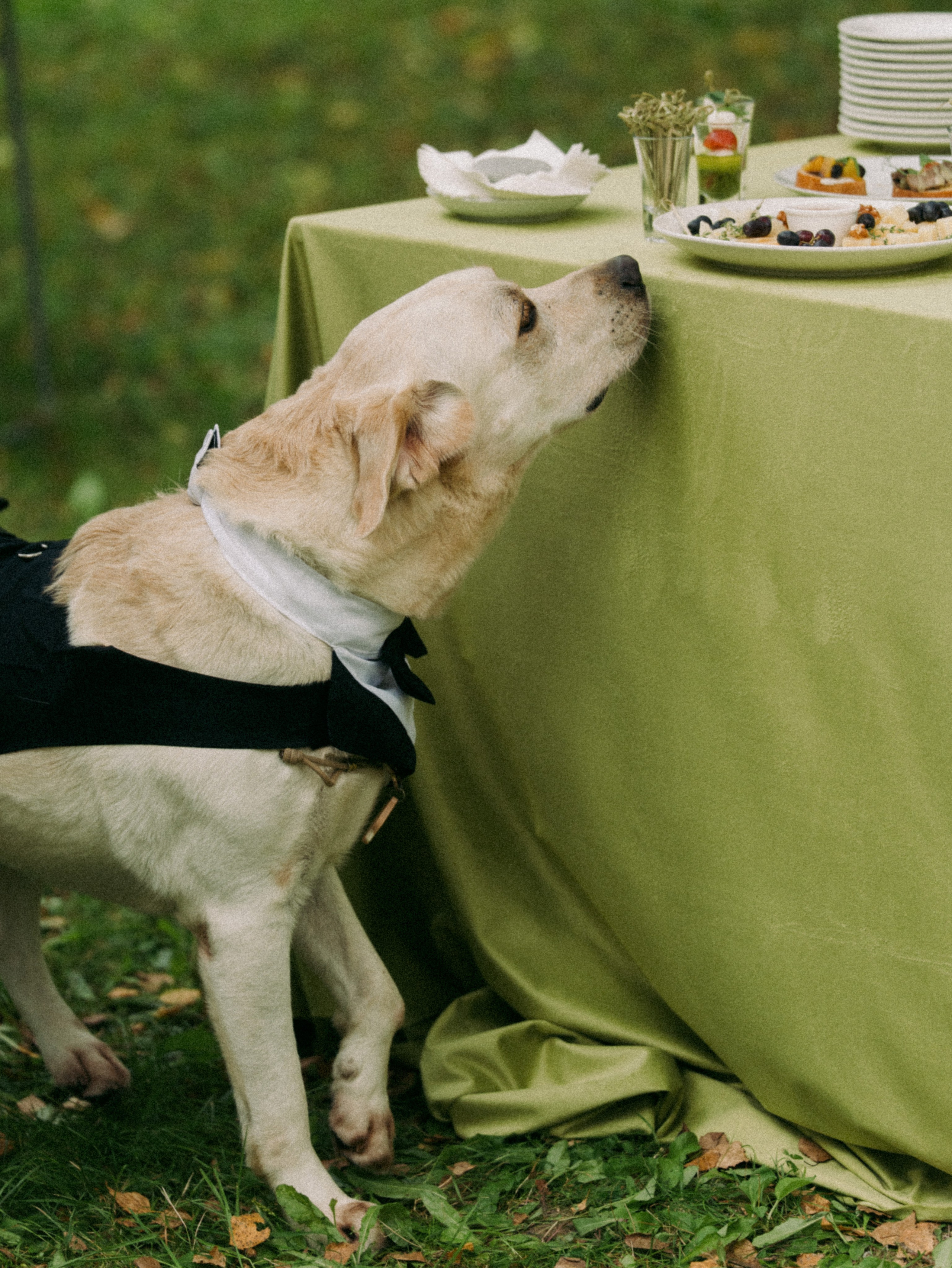 Никита и Полина. Свадебный фотограф Артем Смирнов