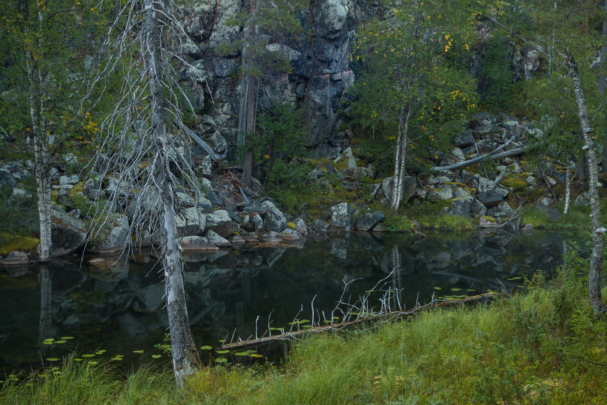 Лето. Северные Ночи