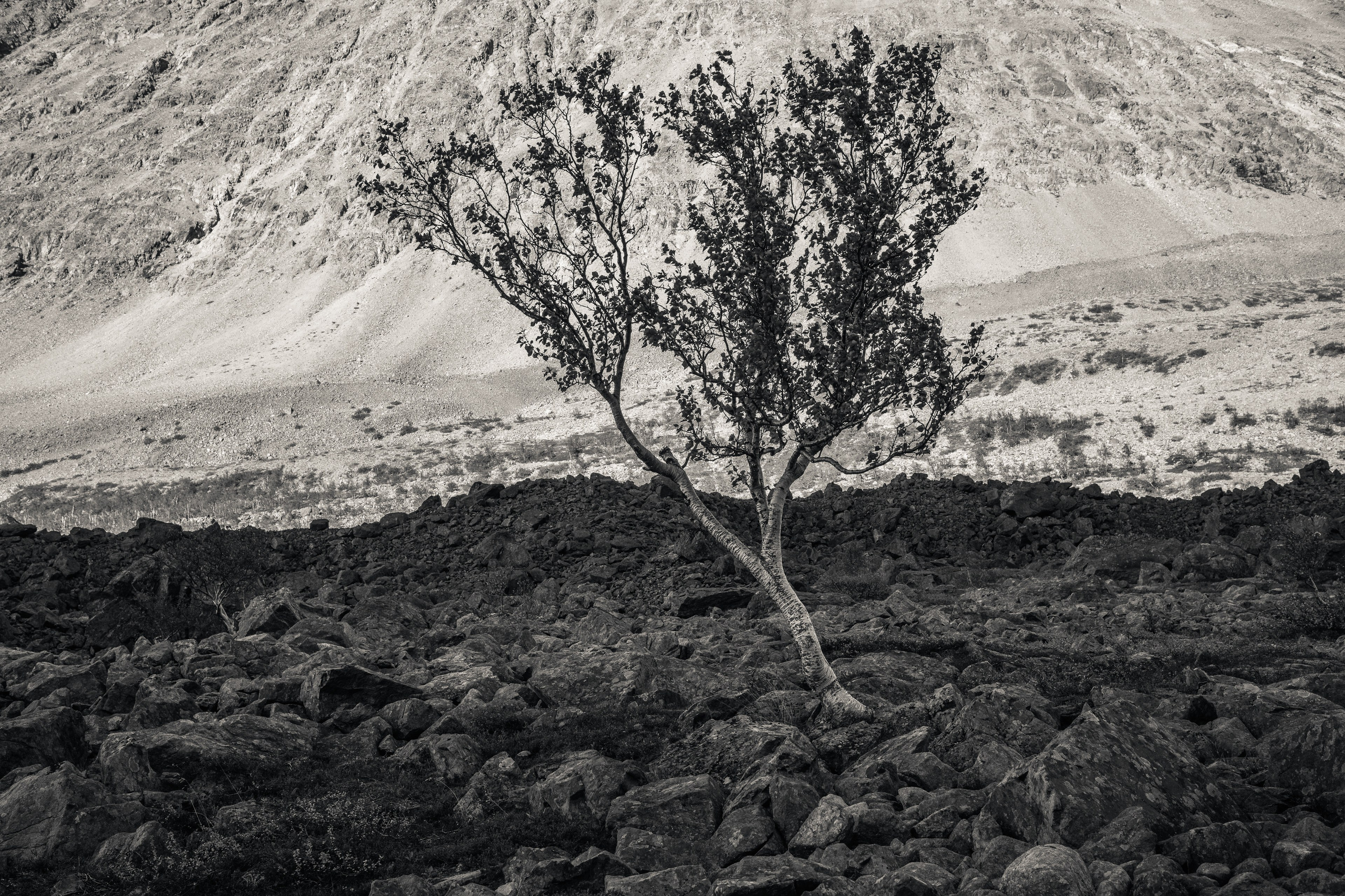 Норвегия. Северные Ночи