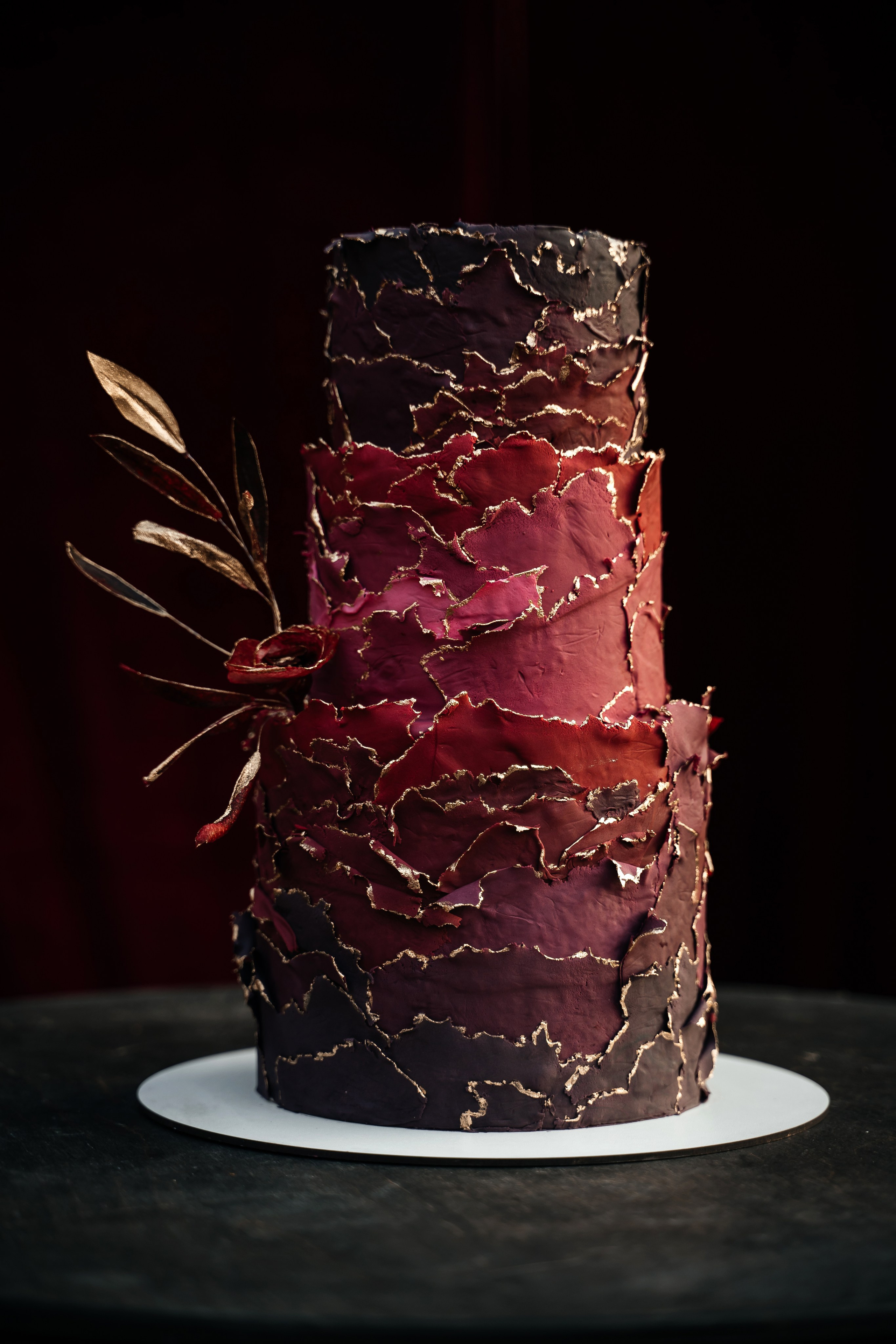 Свадебная церемония на фотозоне из красного бархата. Свадебный фотограф Елена Рякина