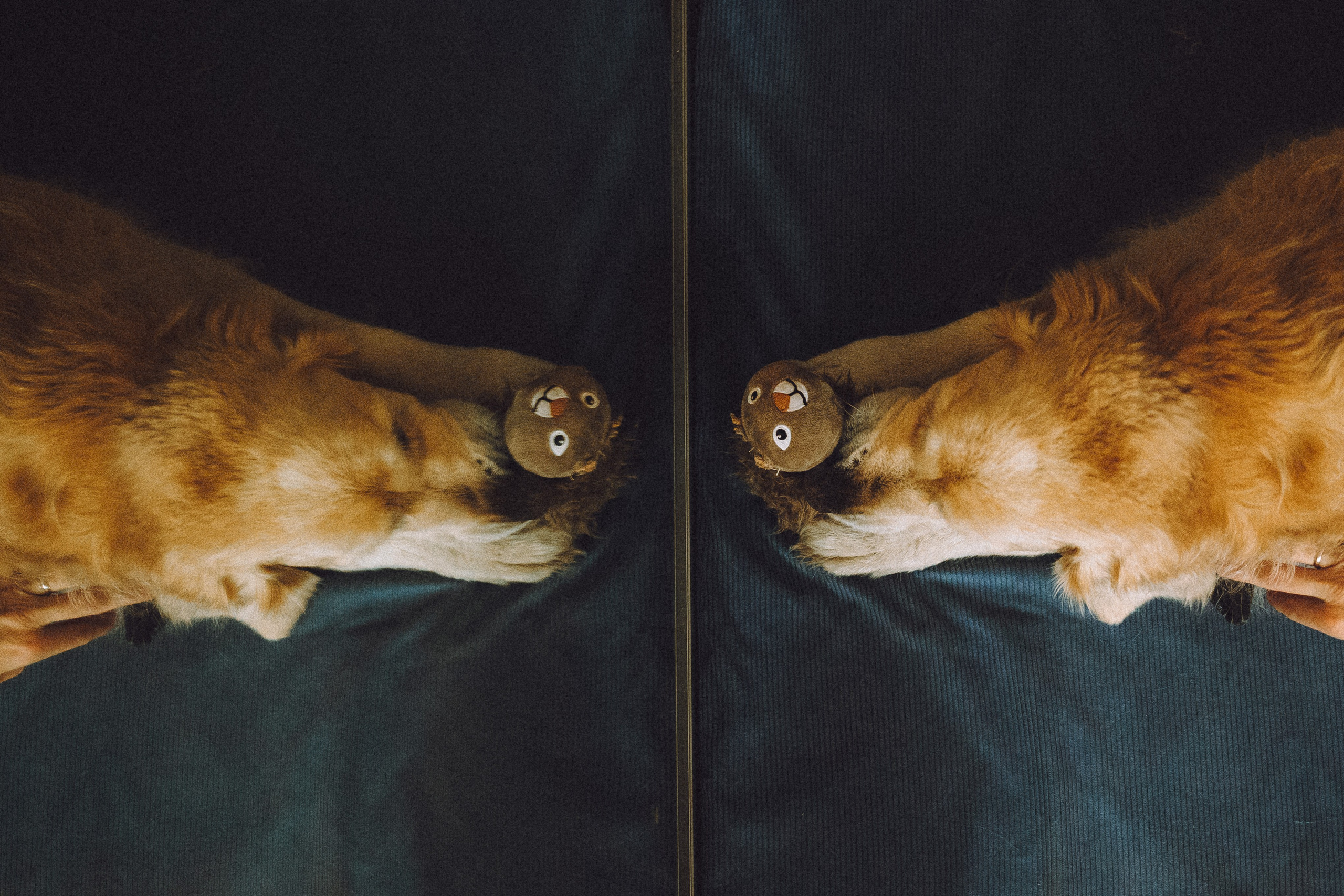 Ира, Андрей, Бэлла и Панда