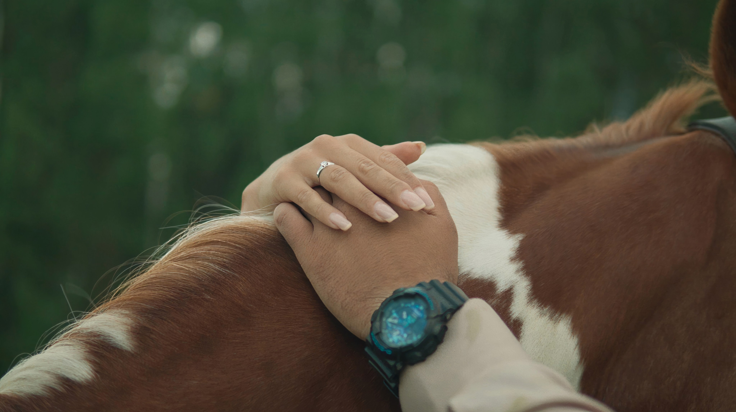 Стоп-кадр Freeze frame. Видеограф и фотограф в Екатеринбурге Крисковец Дмитрий