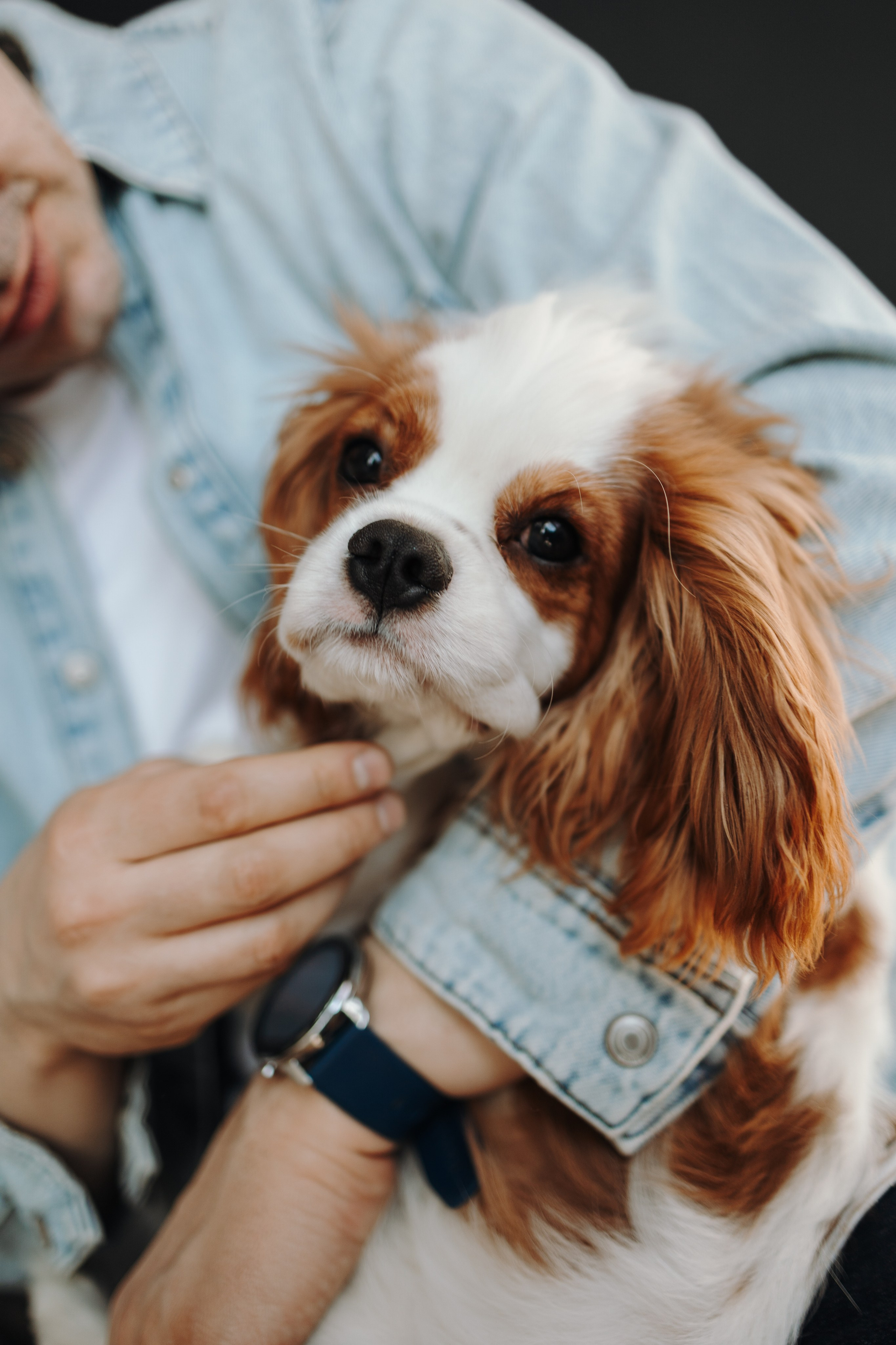 Плуто и его семья. Фотограф — Анималист | Санкт-Петербург