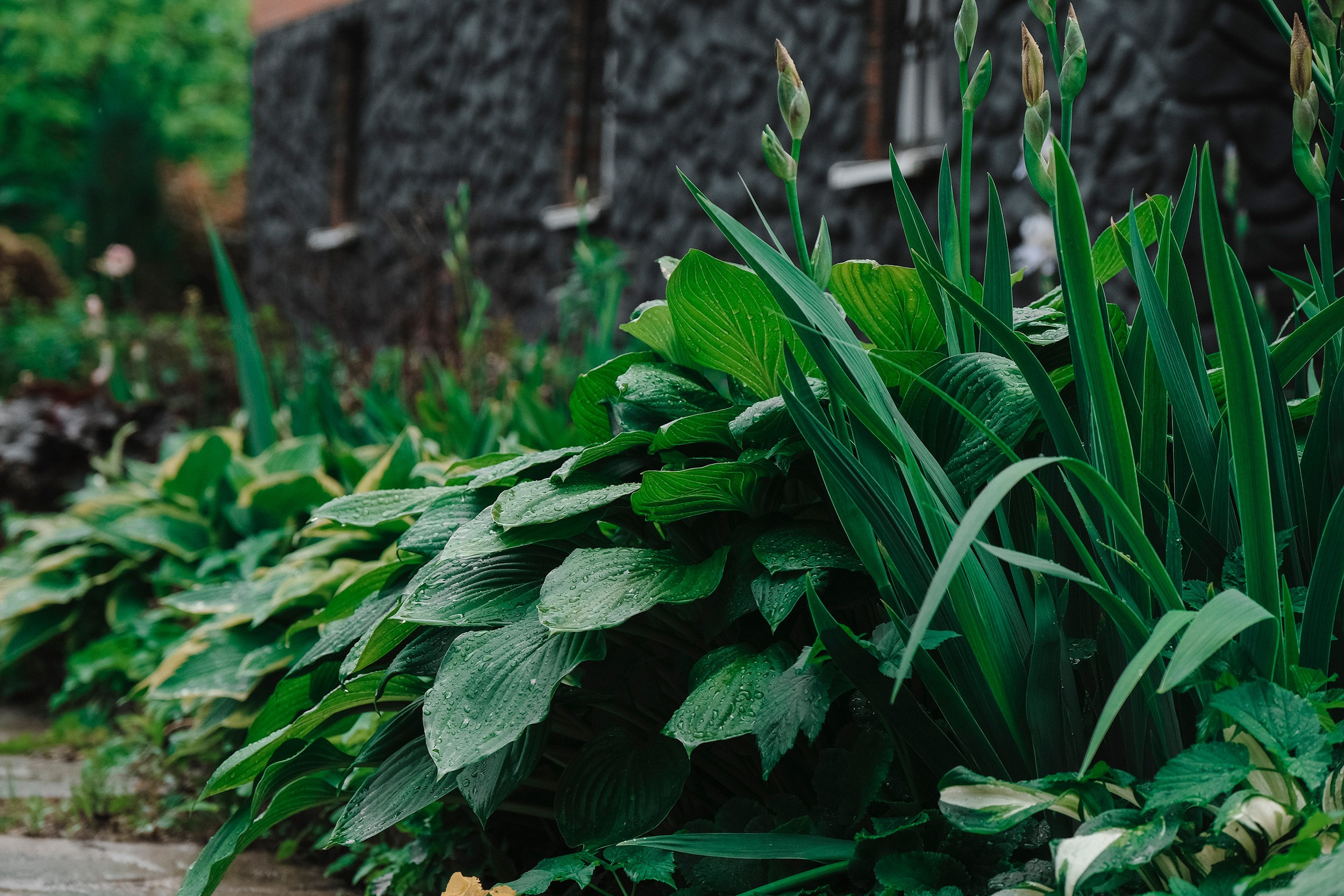 Крестины 3. Фото Видео Дизайн