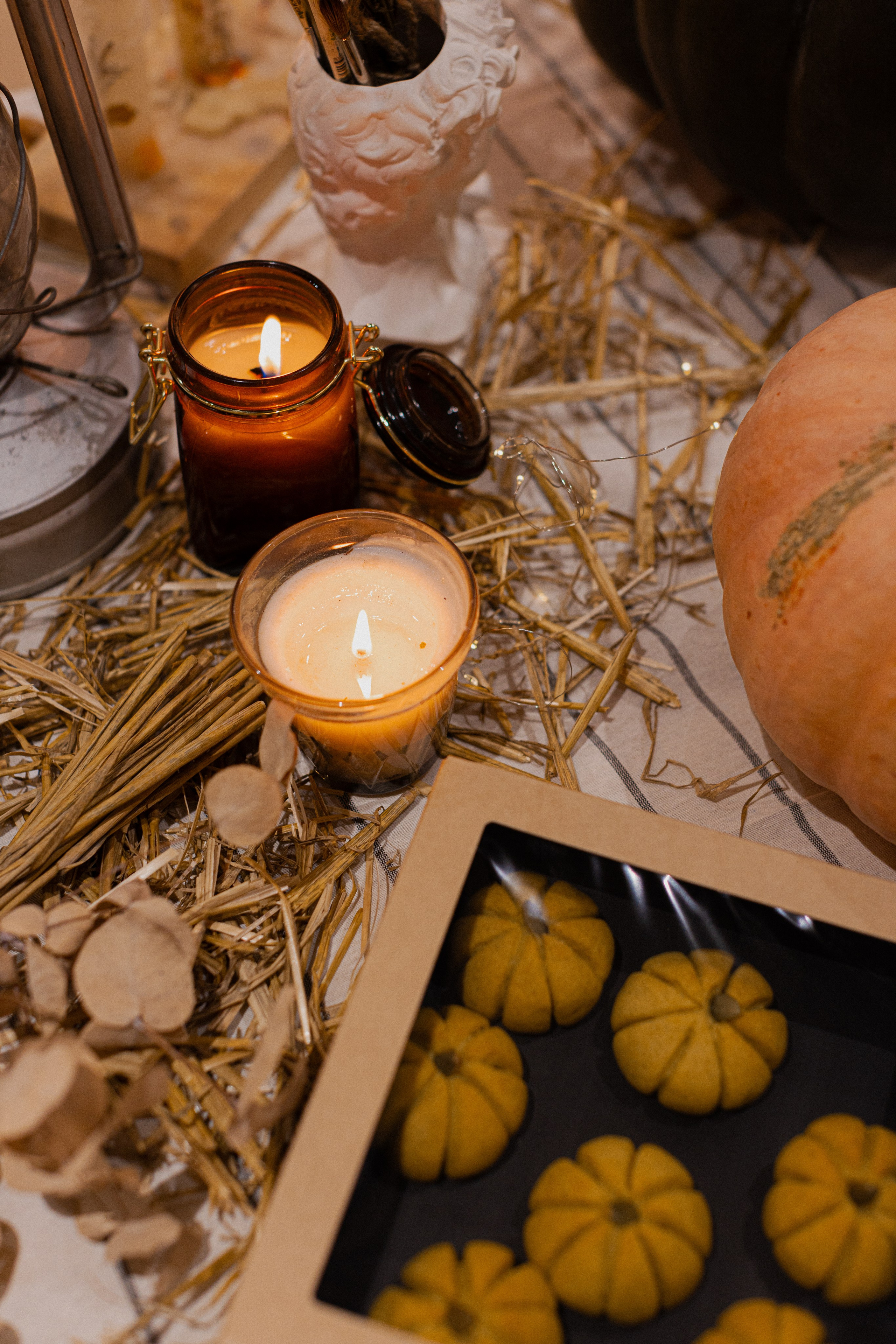 Мк Тыквы. Анастасия Ракчеева Художник