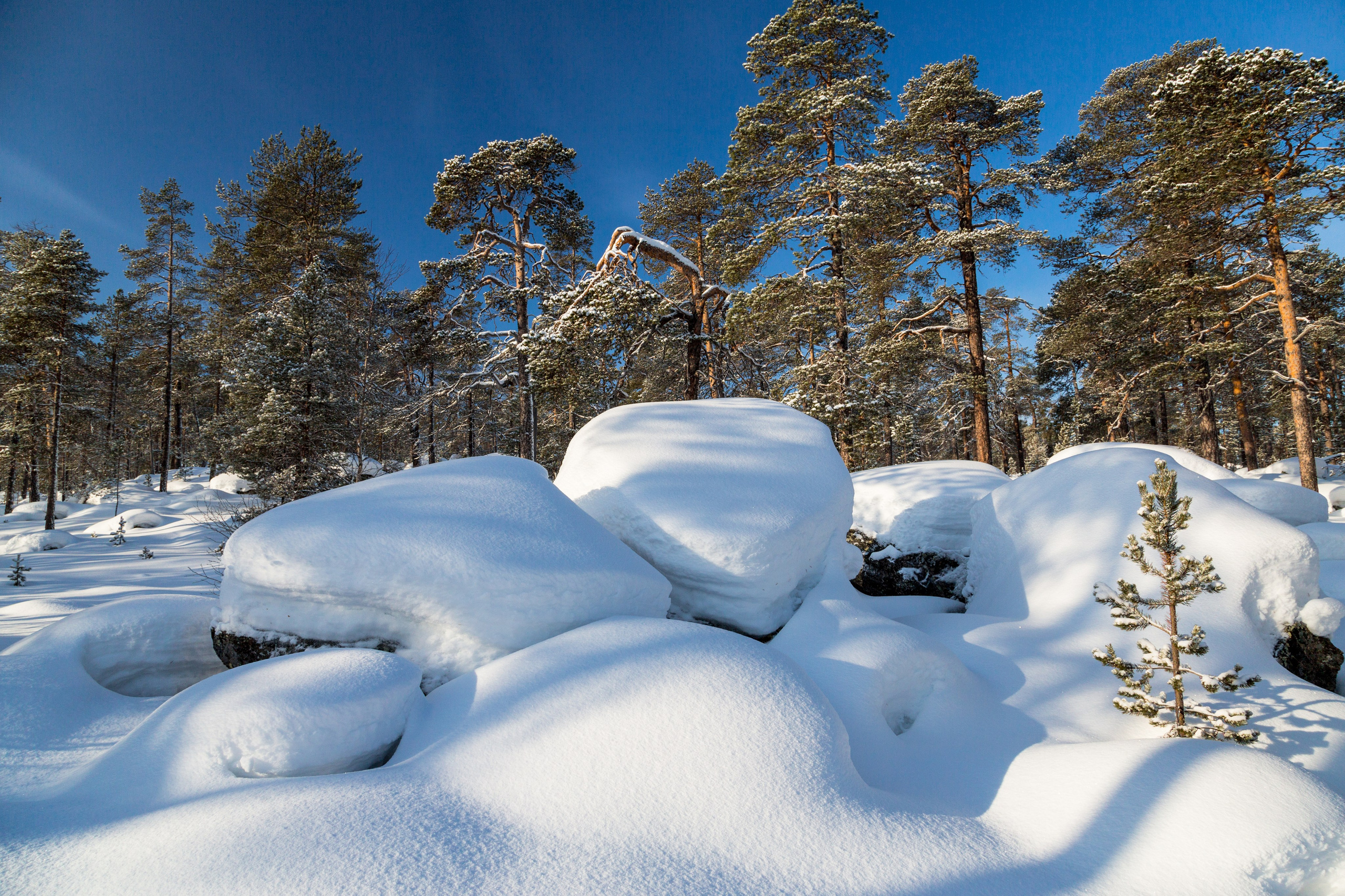 Зима. Пейзажи Крайнего Севера. Баренцево море, Рыбачий, Средний, Немецкий