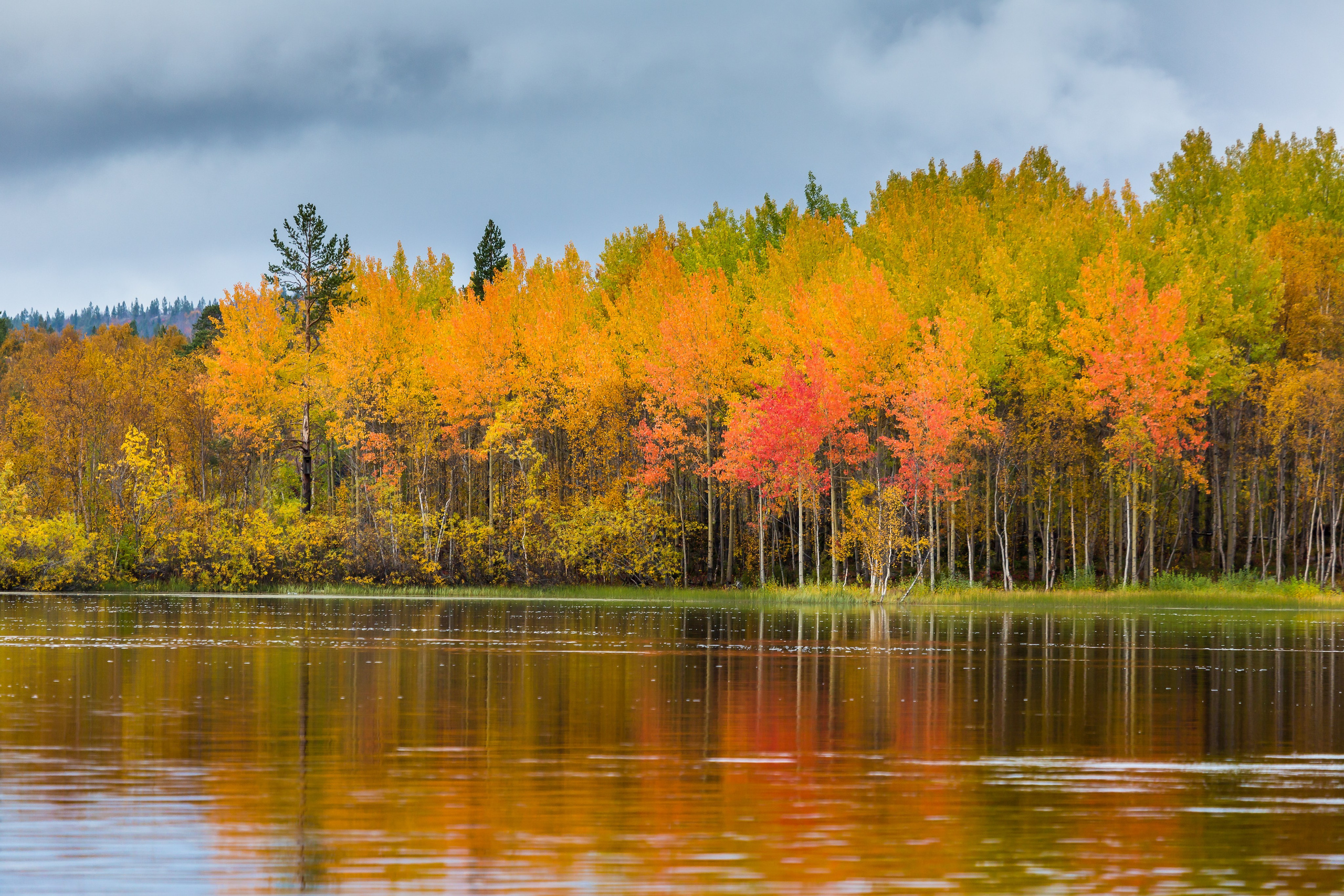 Река Паз. Пейзажи Крайнего Севера. Баренцево море, Рыбачий, Средний, Немецкий