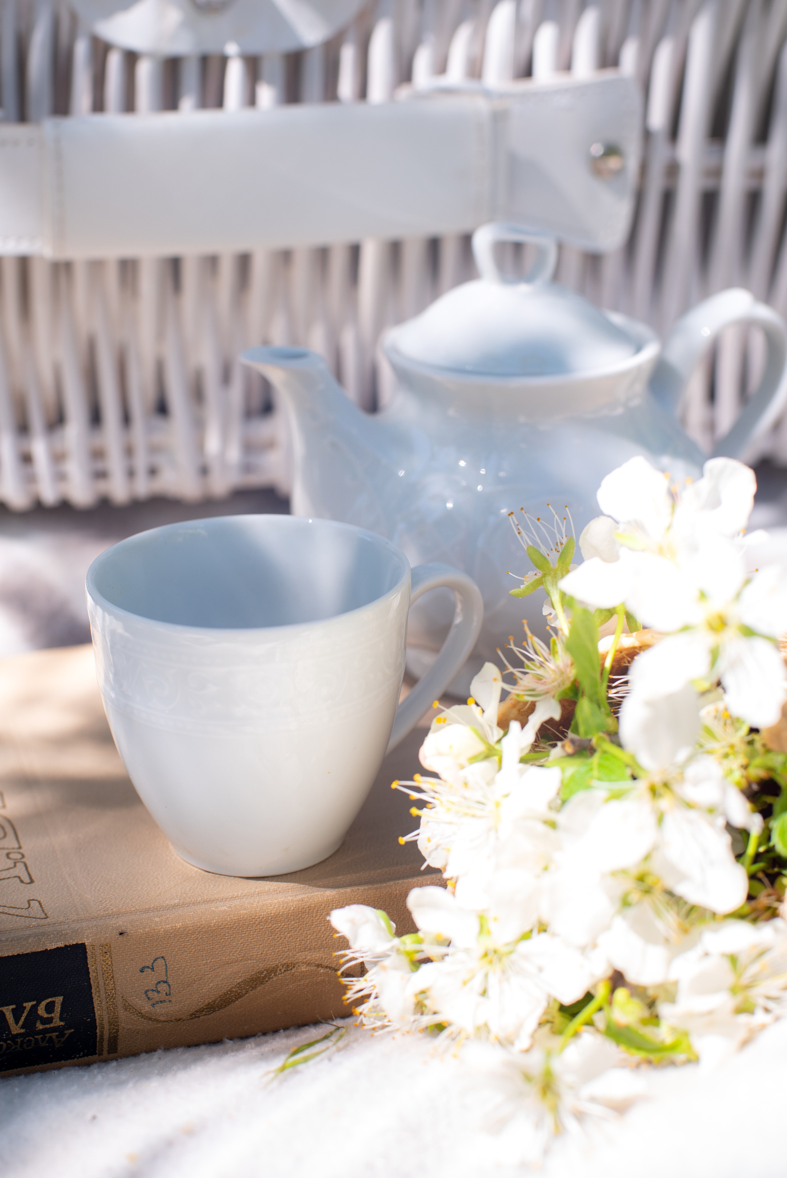 Воркшоп Весеннее цветение. Семейный и детский фотограф Захаренкова Юлия