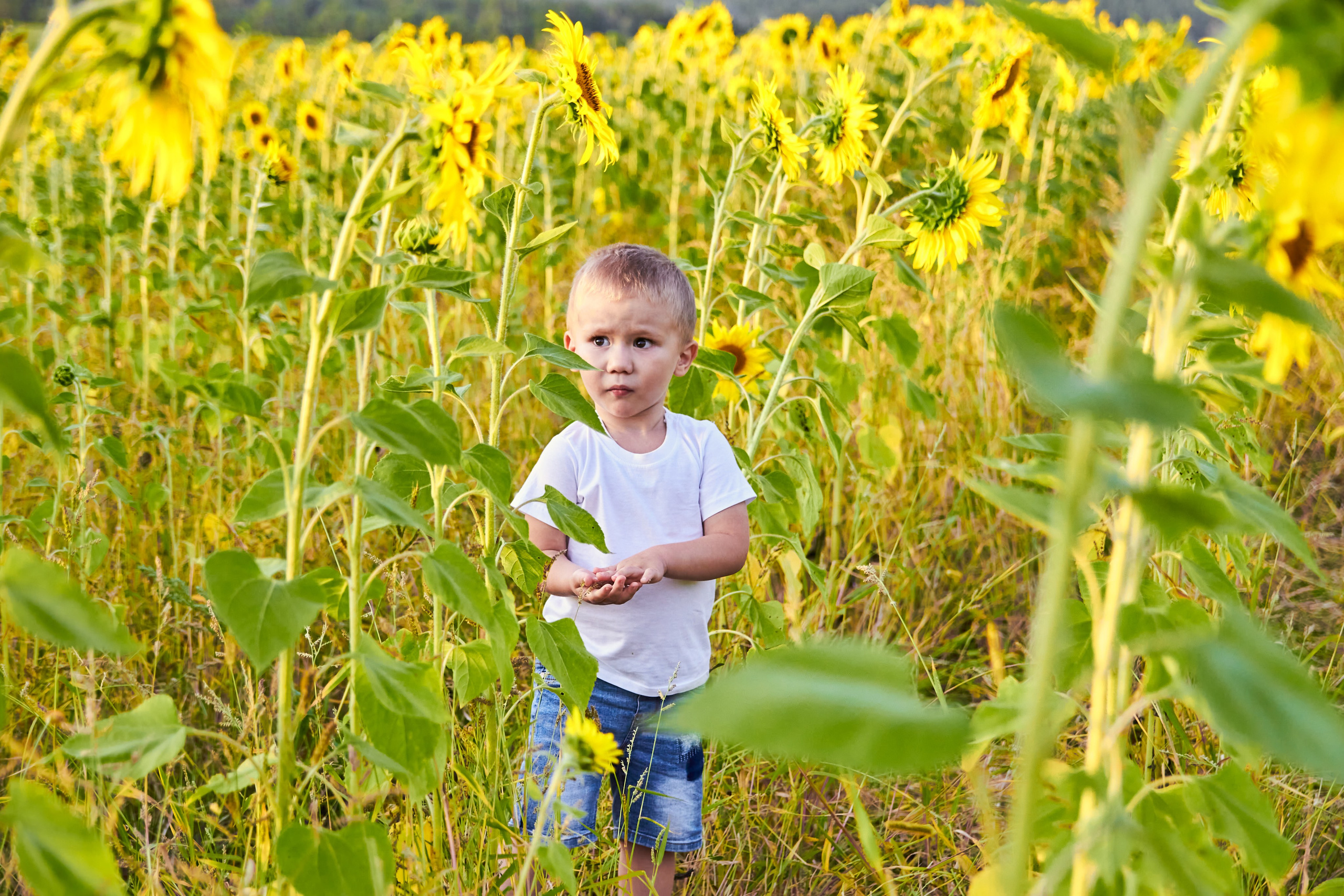 В полях. Фотограф в Самаре Татьяна Дубаносова