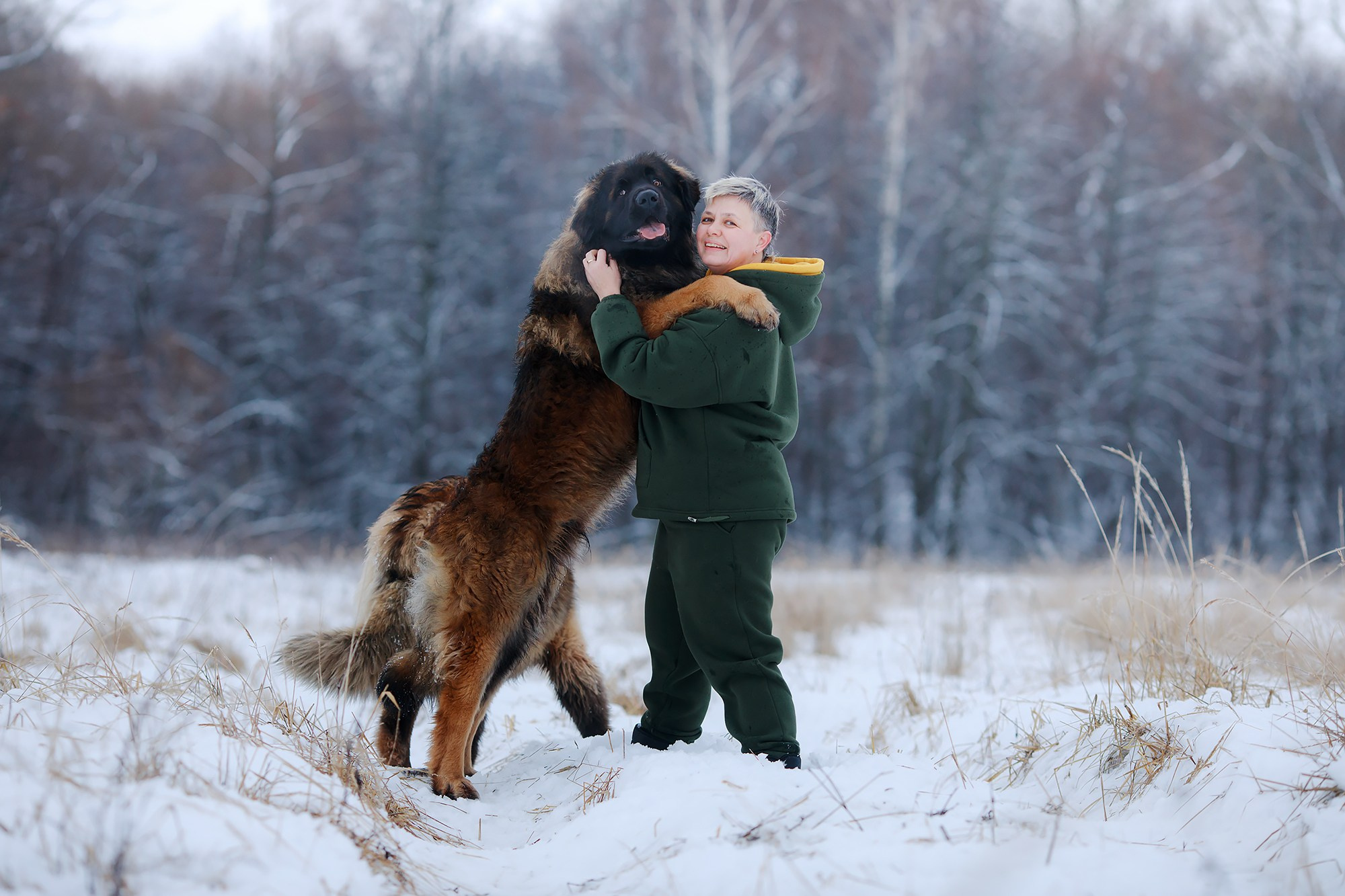Леоненбергеры. Фотограф-анималист Mary Mart — Москва, Питер