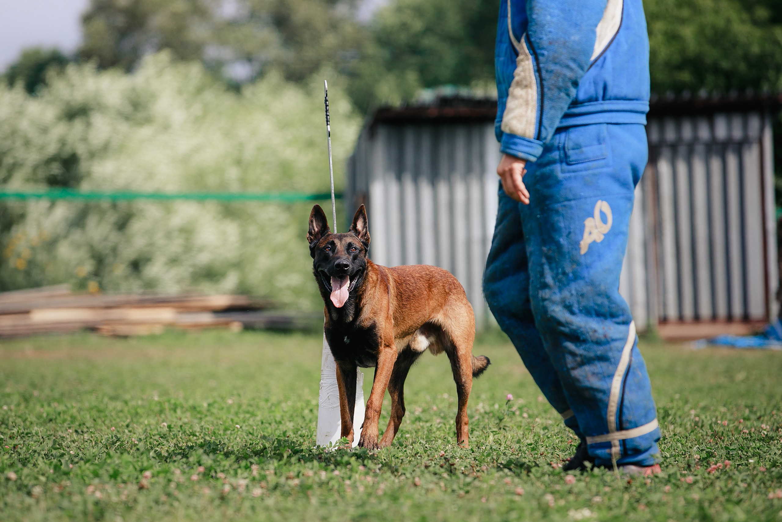 Мондьоринг М1, М2, М3, Вологда. Фотограф-анималист Mary Mart — Москва, Питер