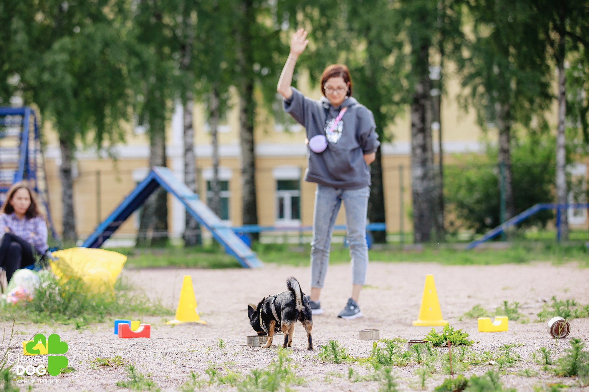 Семинар по поиску запаха с Иваном Ломовым, организатор CleverDog, СПб. Фотограф-анималист Mary Mart — Москва, Питер