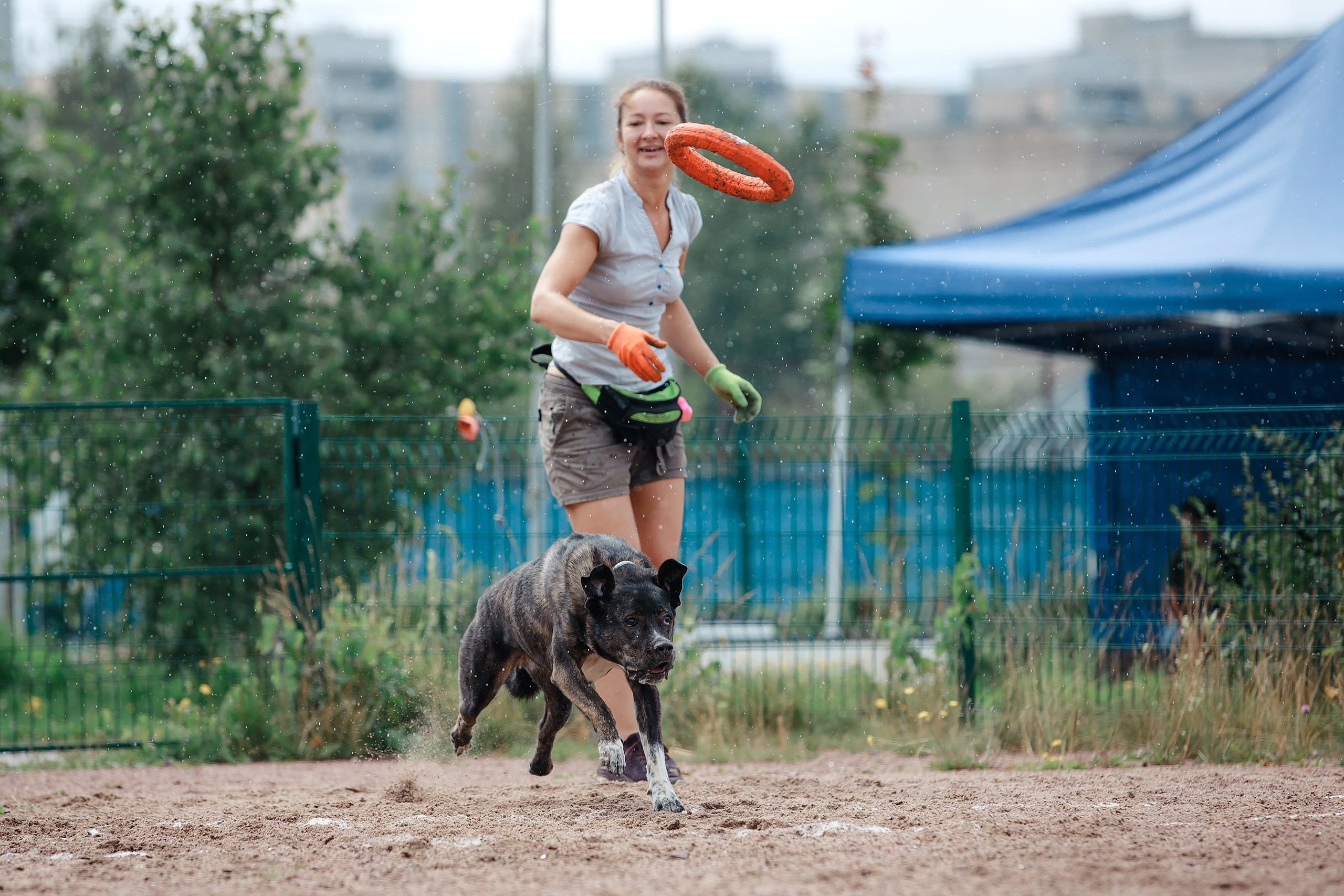 Питч&Гоу + веселые старты. Фотограф-анималист Mary Mart — Москва, Питер