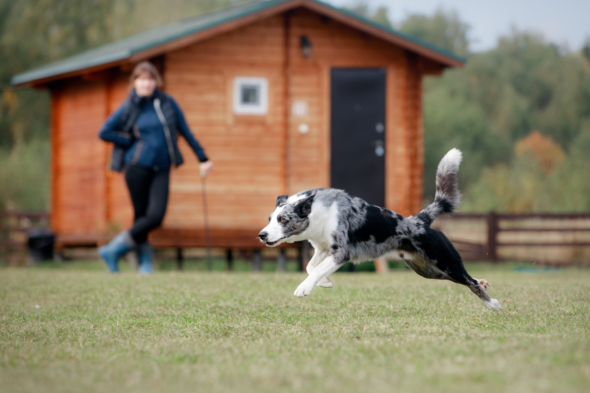 Лагерь по ОБД с Инной Баженовой. Фотограф-анималист Mary Mart — Москва, Питер