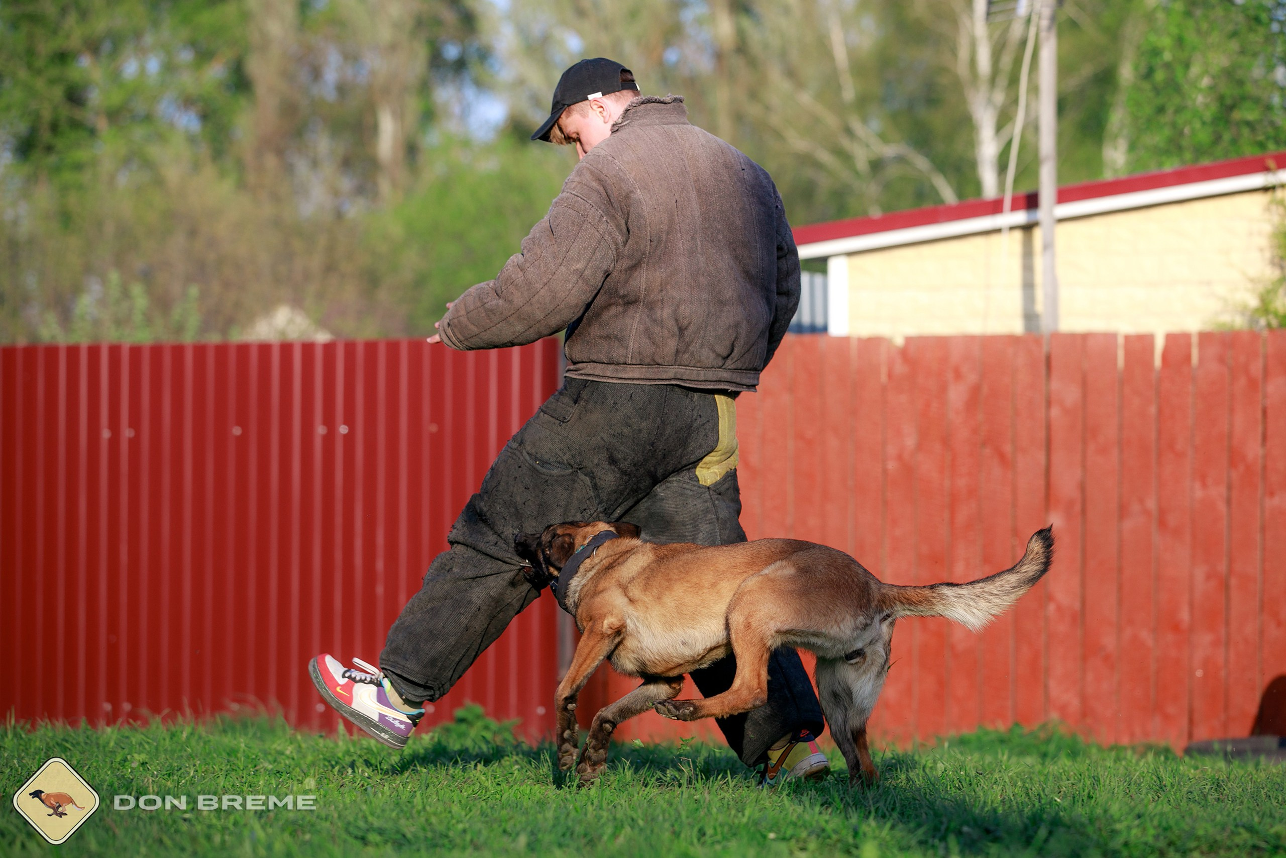 Семинар для фигурантов, день 4. Фотограф-анималист Mary Mart — Москва, Питер
