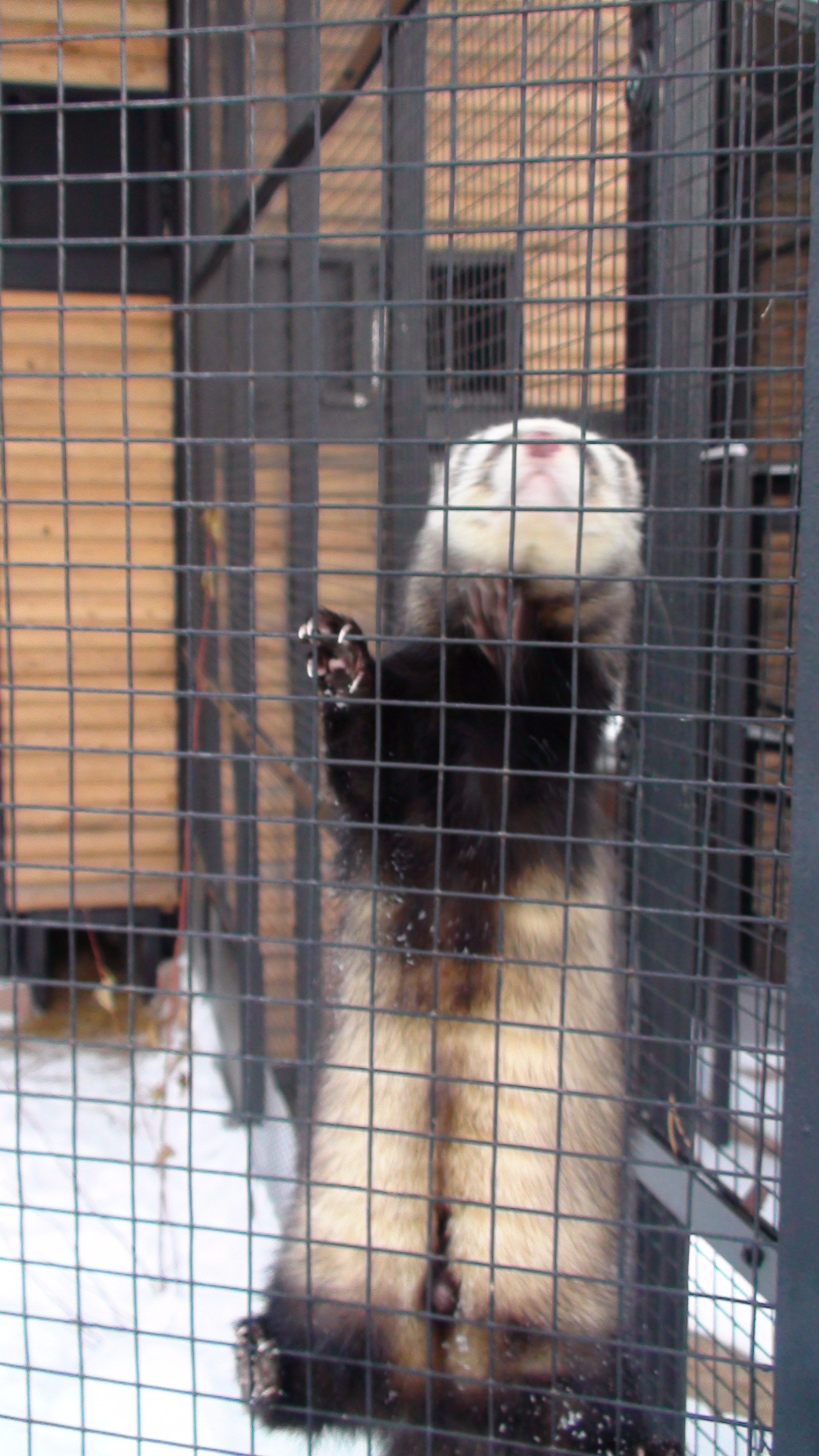 Новый Год 29.12.13-06.01.14. Семейный, Свадебный фотограф СПБ Питер— Романова Екатерина