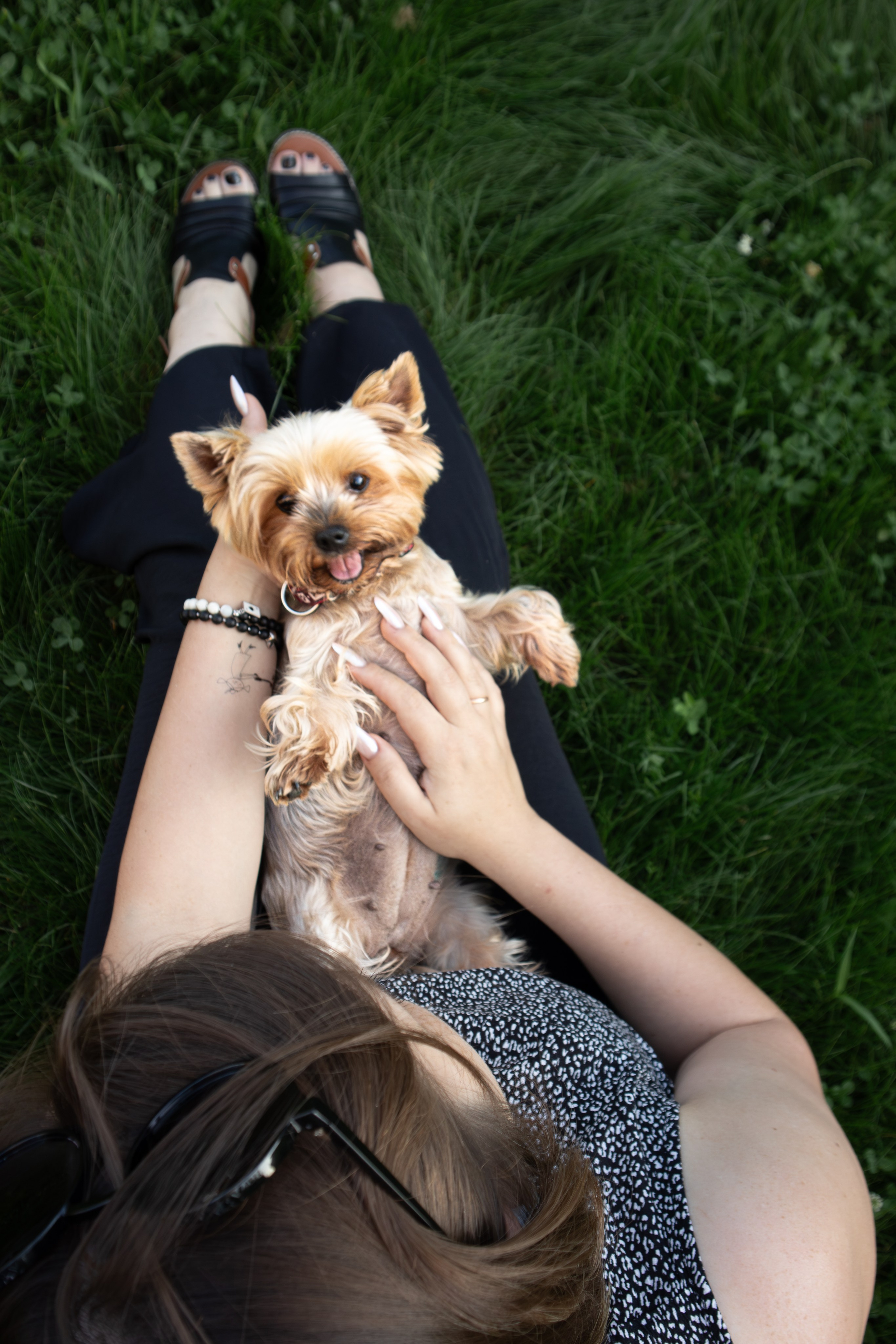С животными. Фотограф Новосибирск, Академгородок, Бердск — Айна