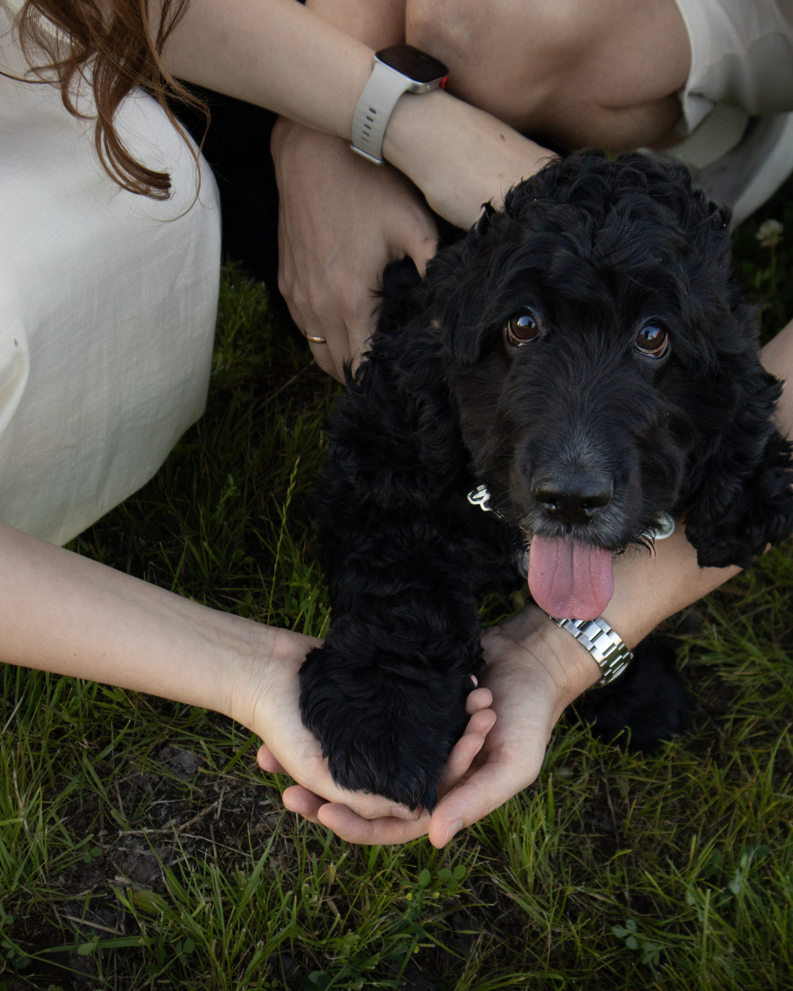 С животными. Фотограф Новосибирск, Академгородок, Бердск — Айна