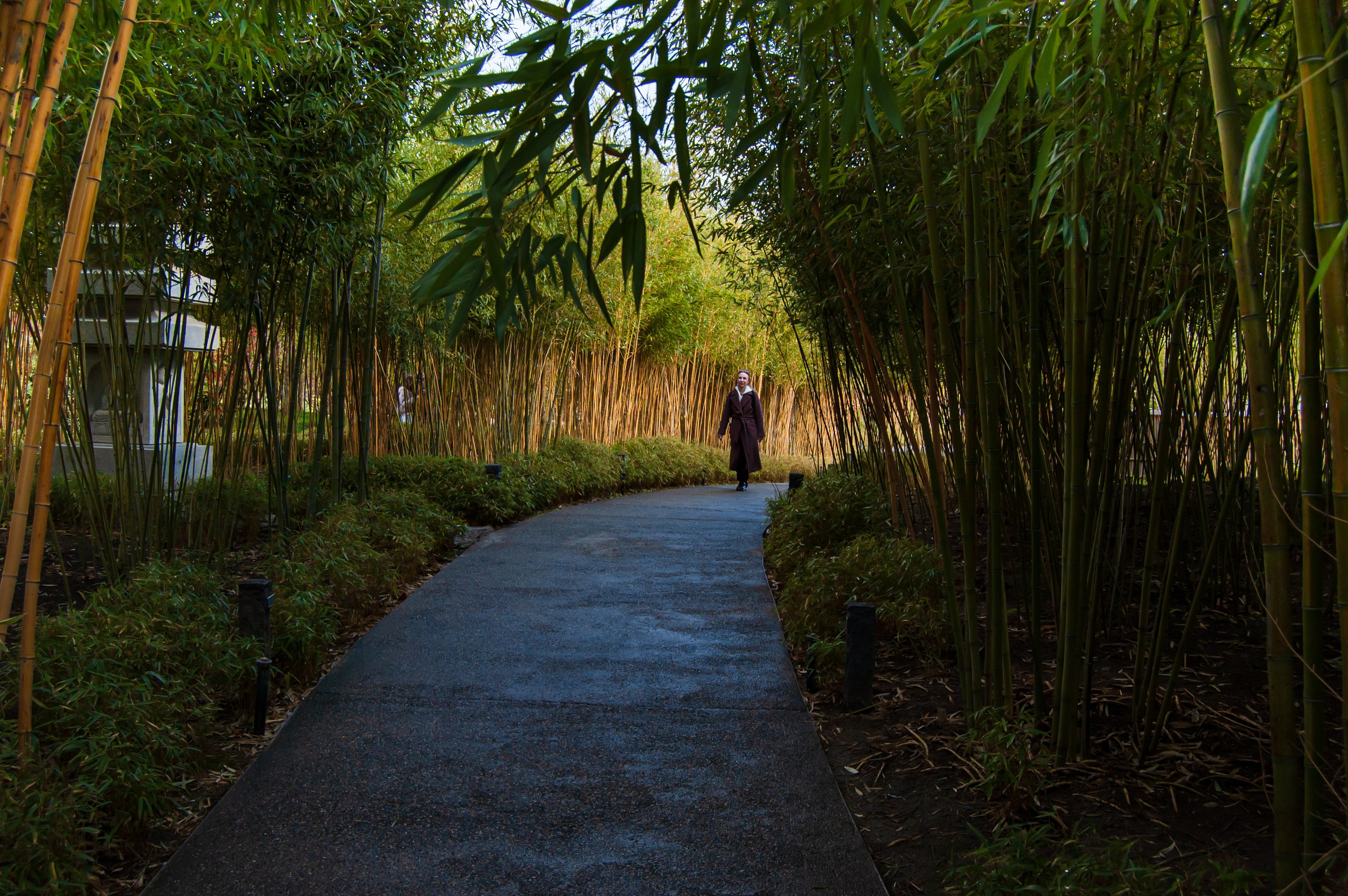 Фотосессия эстетики Японского сада в Краснодаре. Портретный фотограф в Краснодаре Слава Никитин