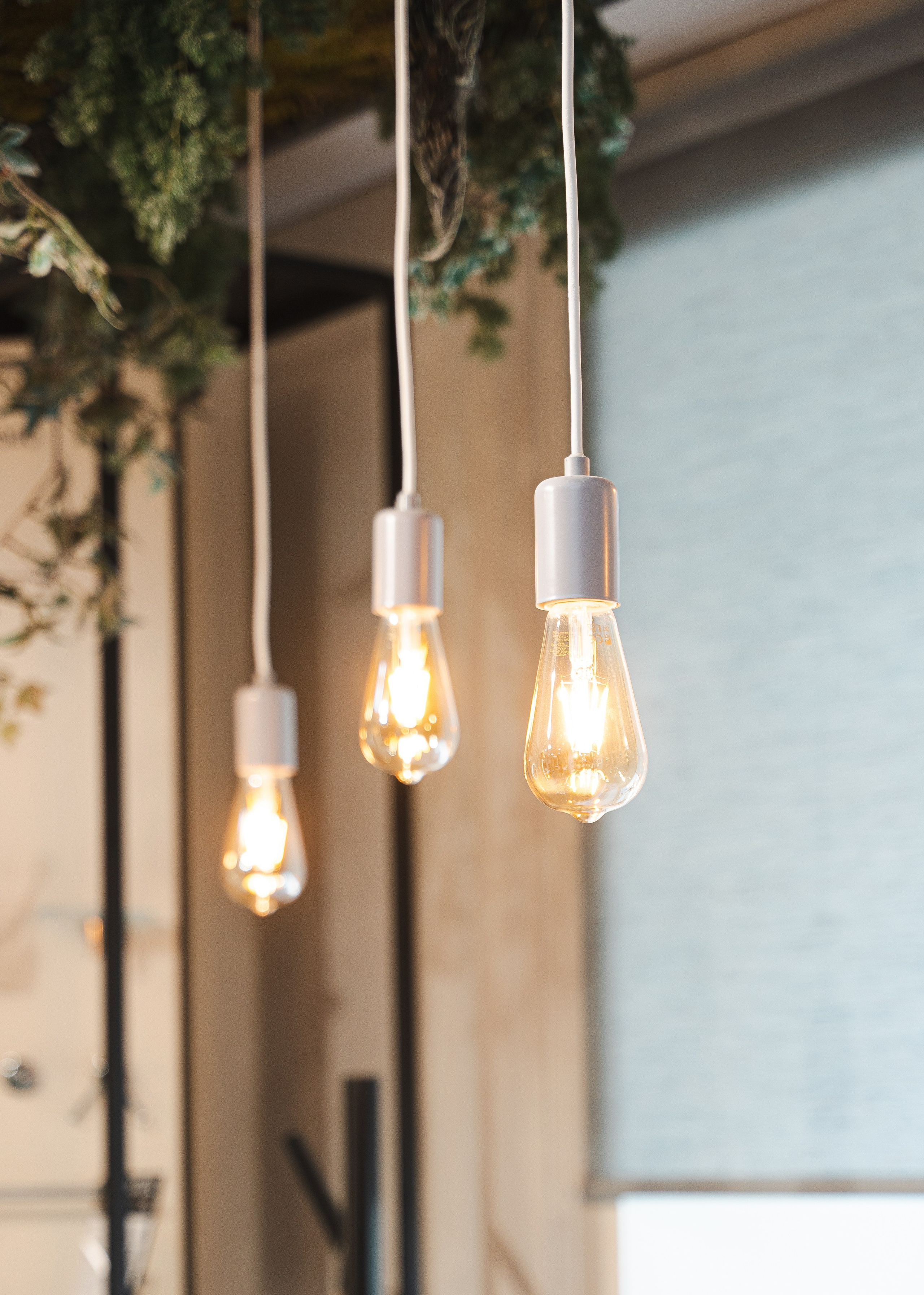 APEX. Фотограф Хабаровск