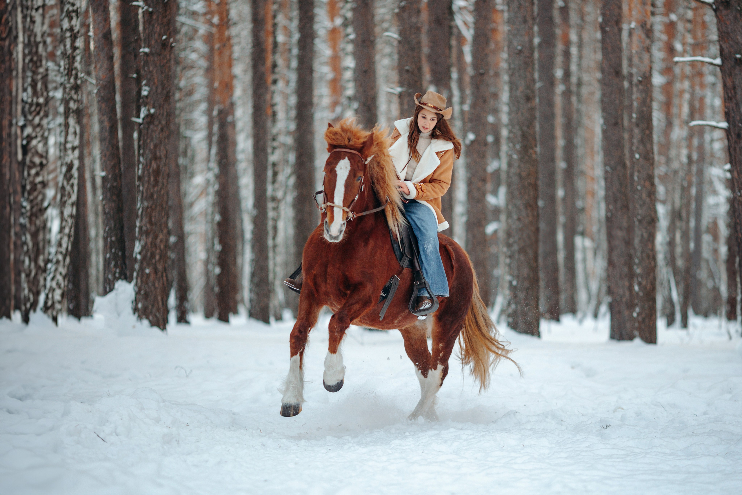 WESTERN. Анна Молчанова конный фотограф в Тюмени | фотосессии с лошадьми Тюмень