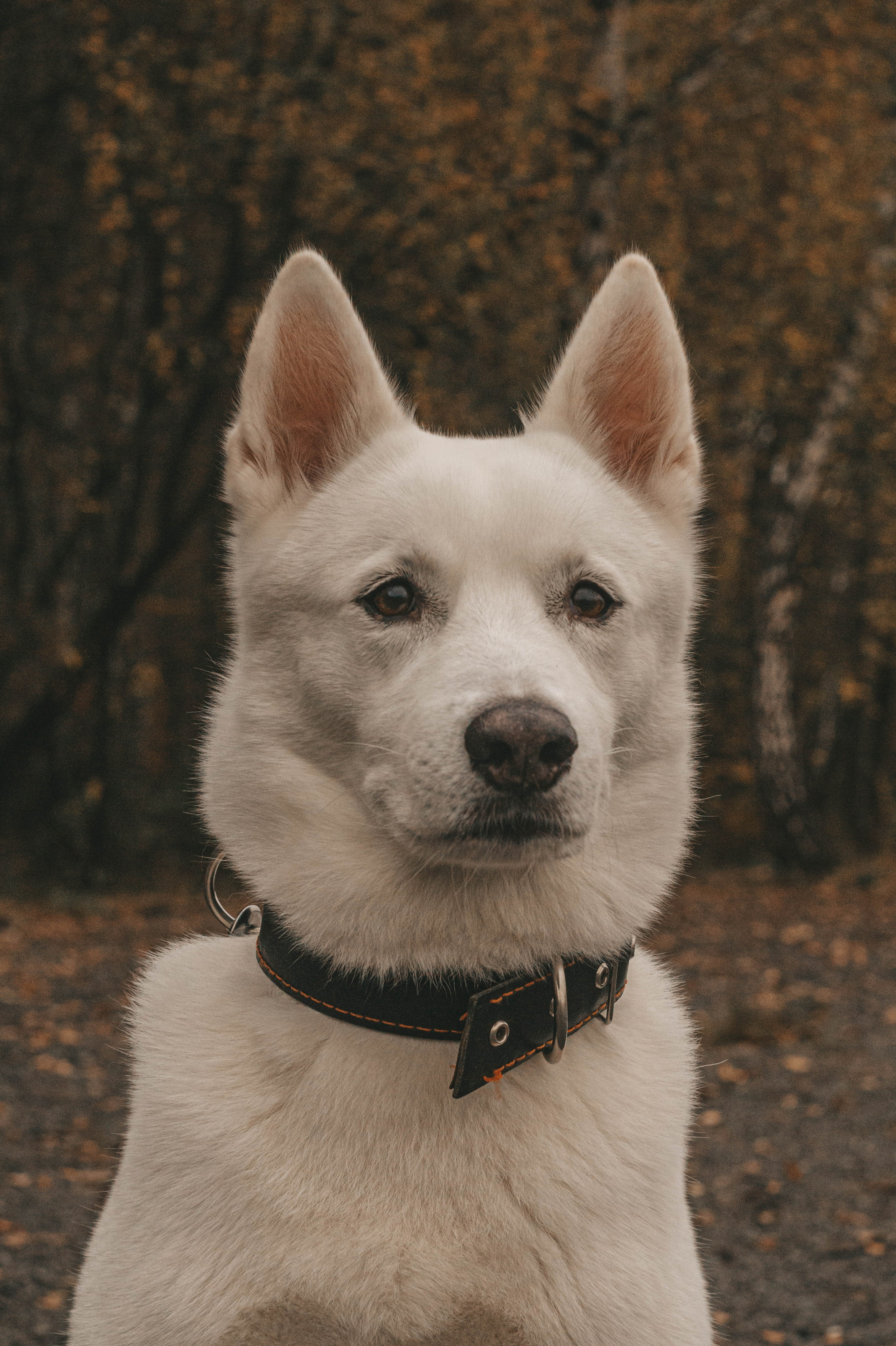 Мария&Бэлла. Профессиональный фотограф