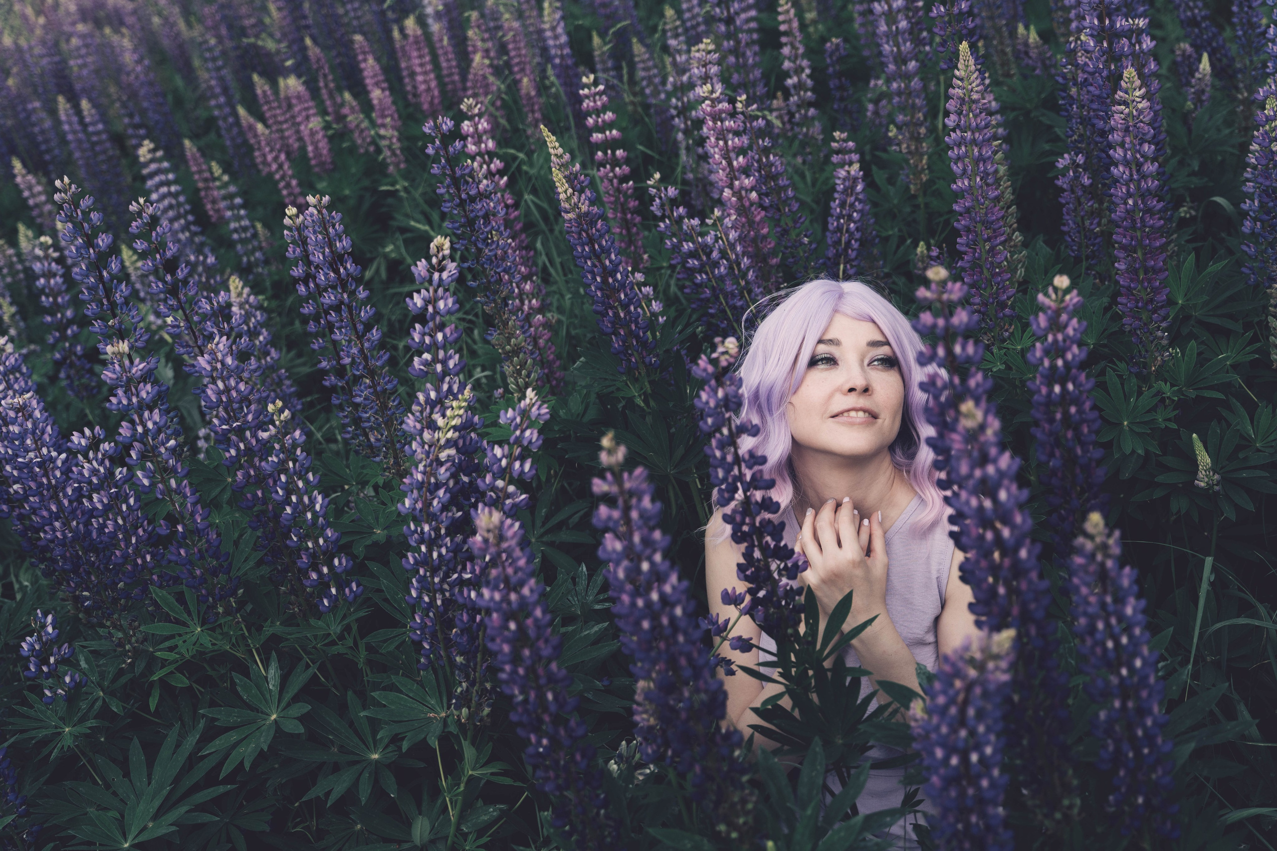 Лена «Люпины». IS — Игорь Сержант | Фотография и рисунок