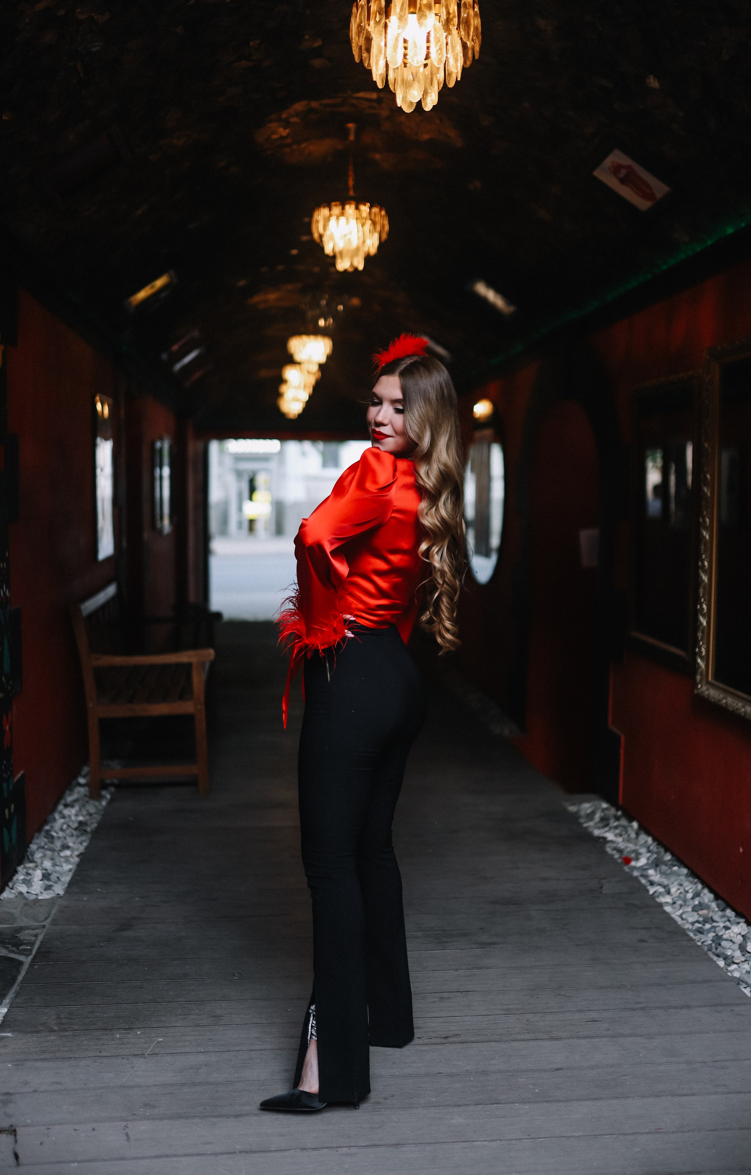 25.Диана и гости