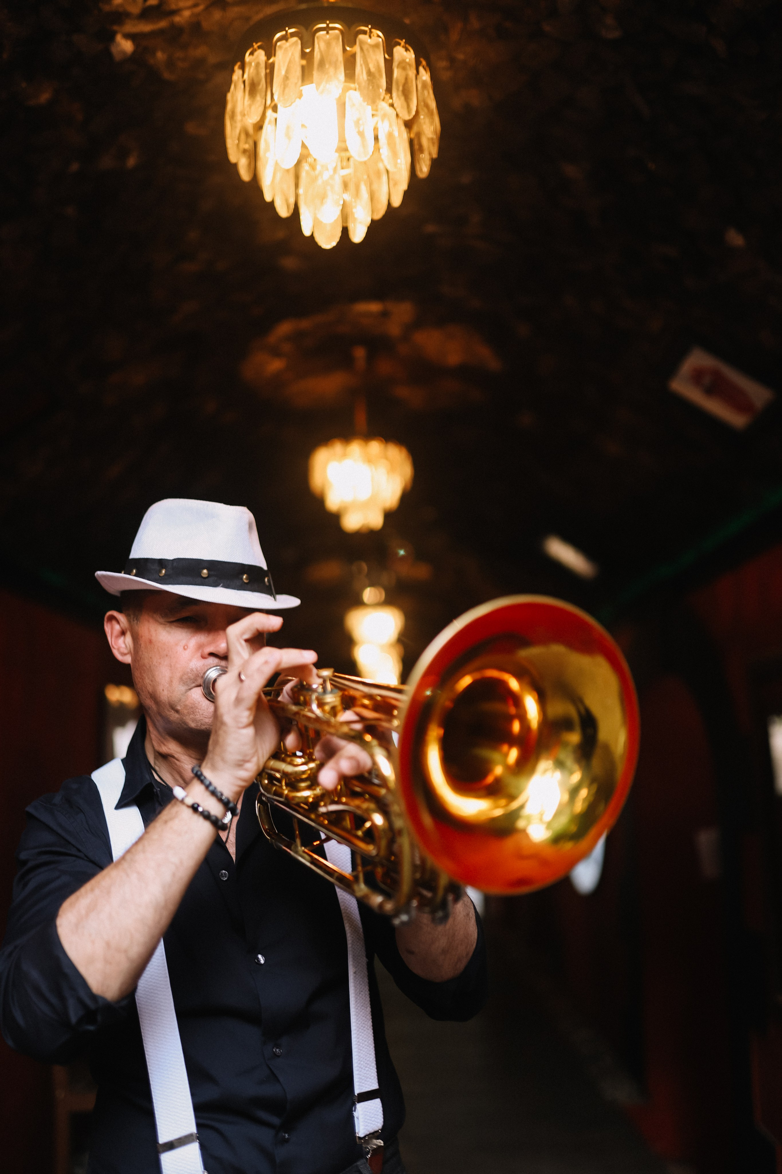 25.Диана и гости