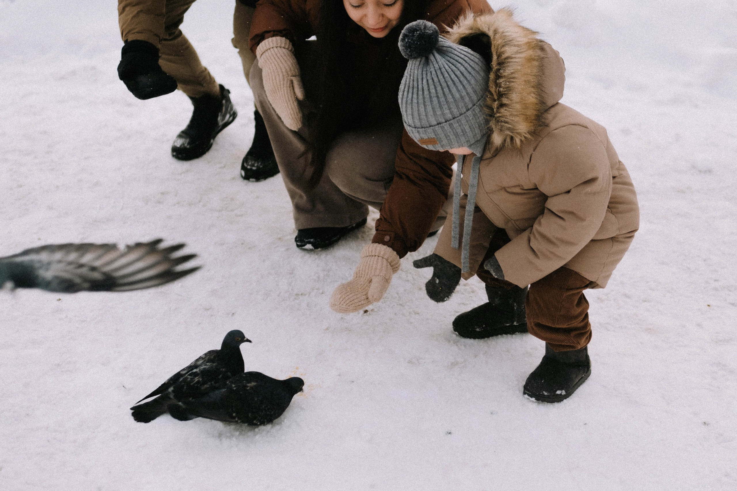 Алиса, Артём и Мотя. Свадебный фотограф Оля Григунова