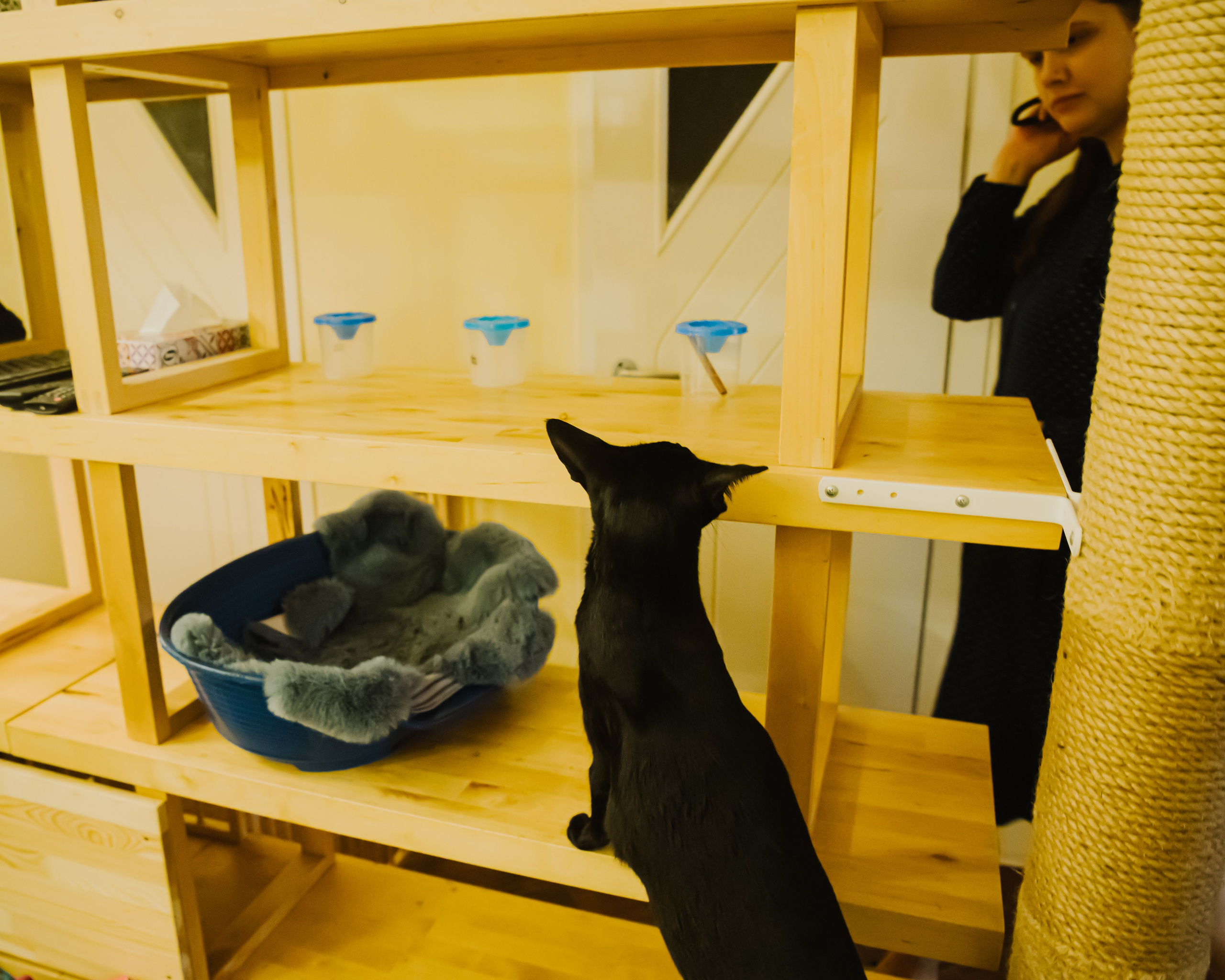 Гилдин. Портретный фотограф Ванинен Анастасия. Санкт-Петербург