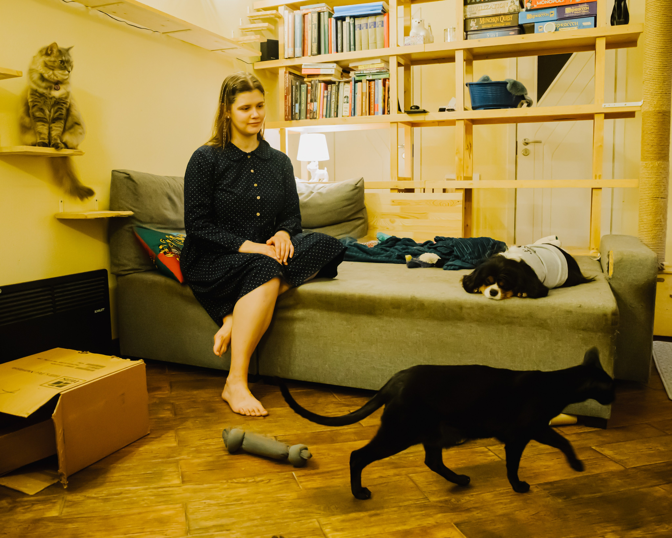 Гилдин. Портретный фотограф Ванинен Анастасия. Санкт-Петербург