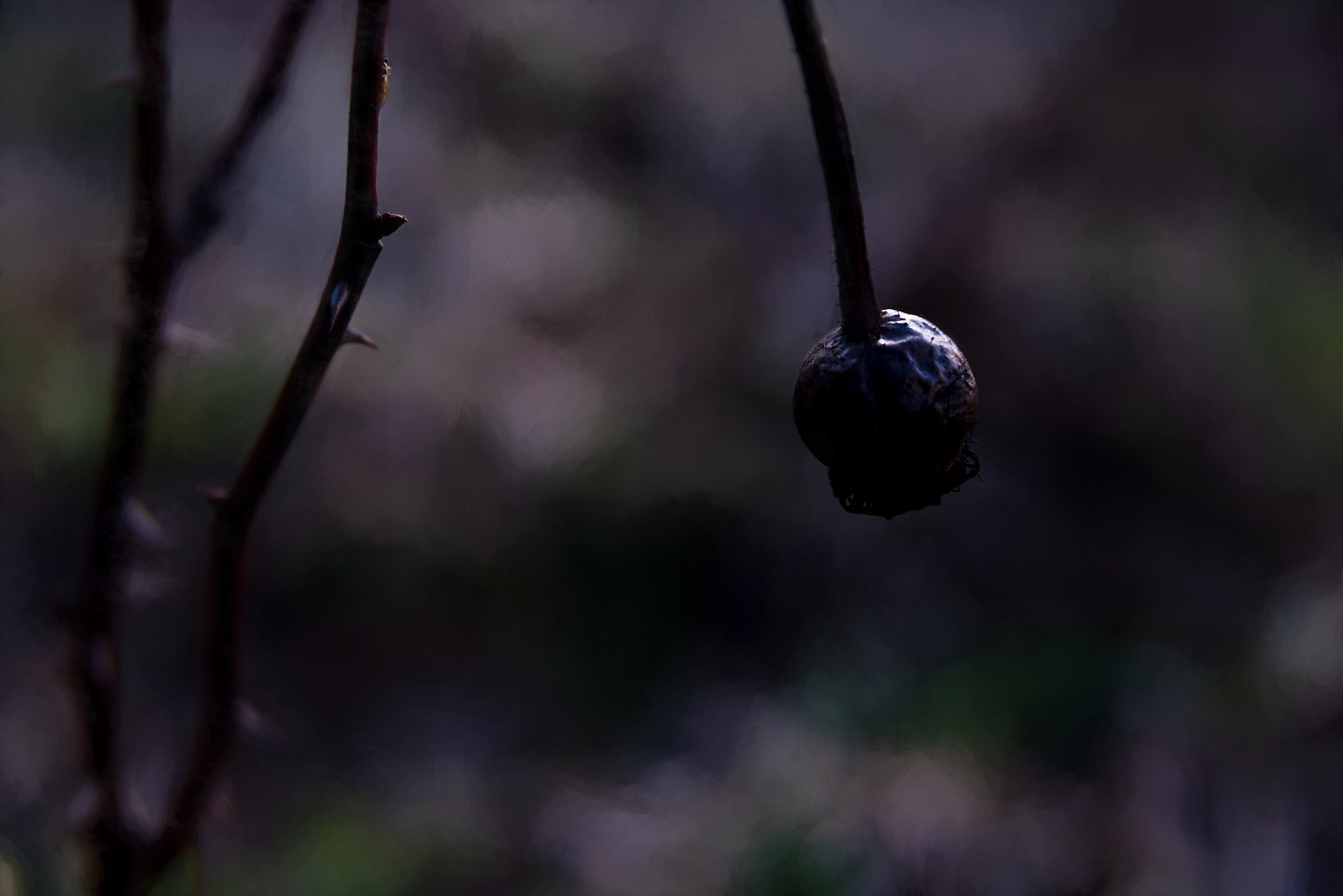 Фотокартины в Гомеле, картины в Гомеле